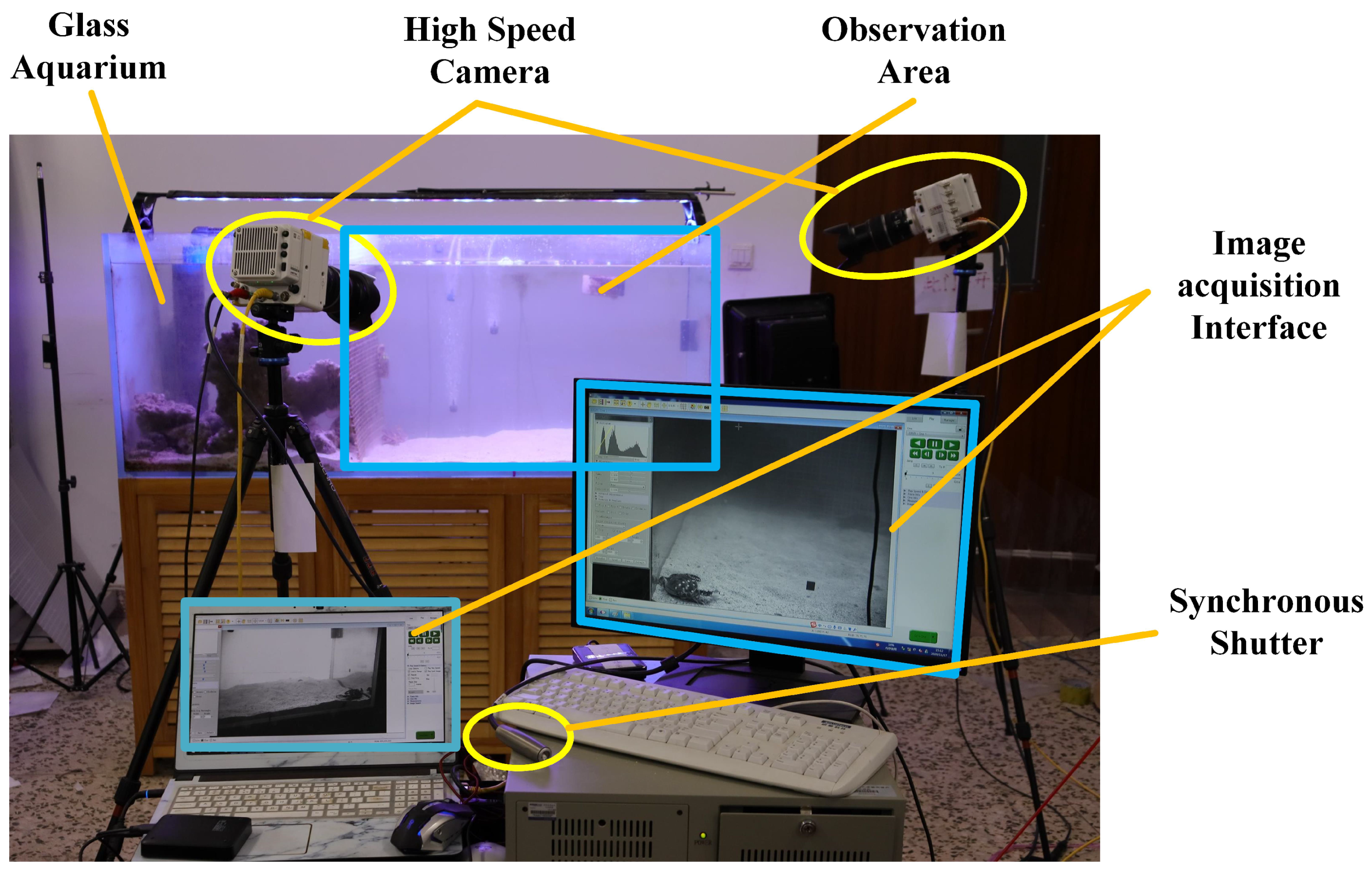 Biomimetics 09 00081 g003