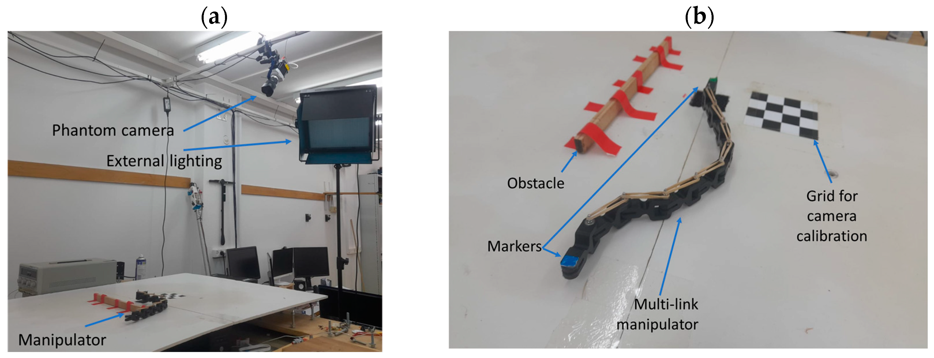 Biomimetics 09 00086 g010