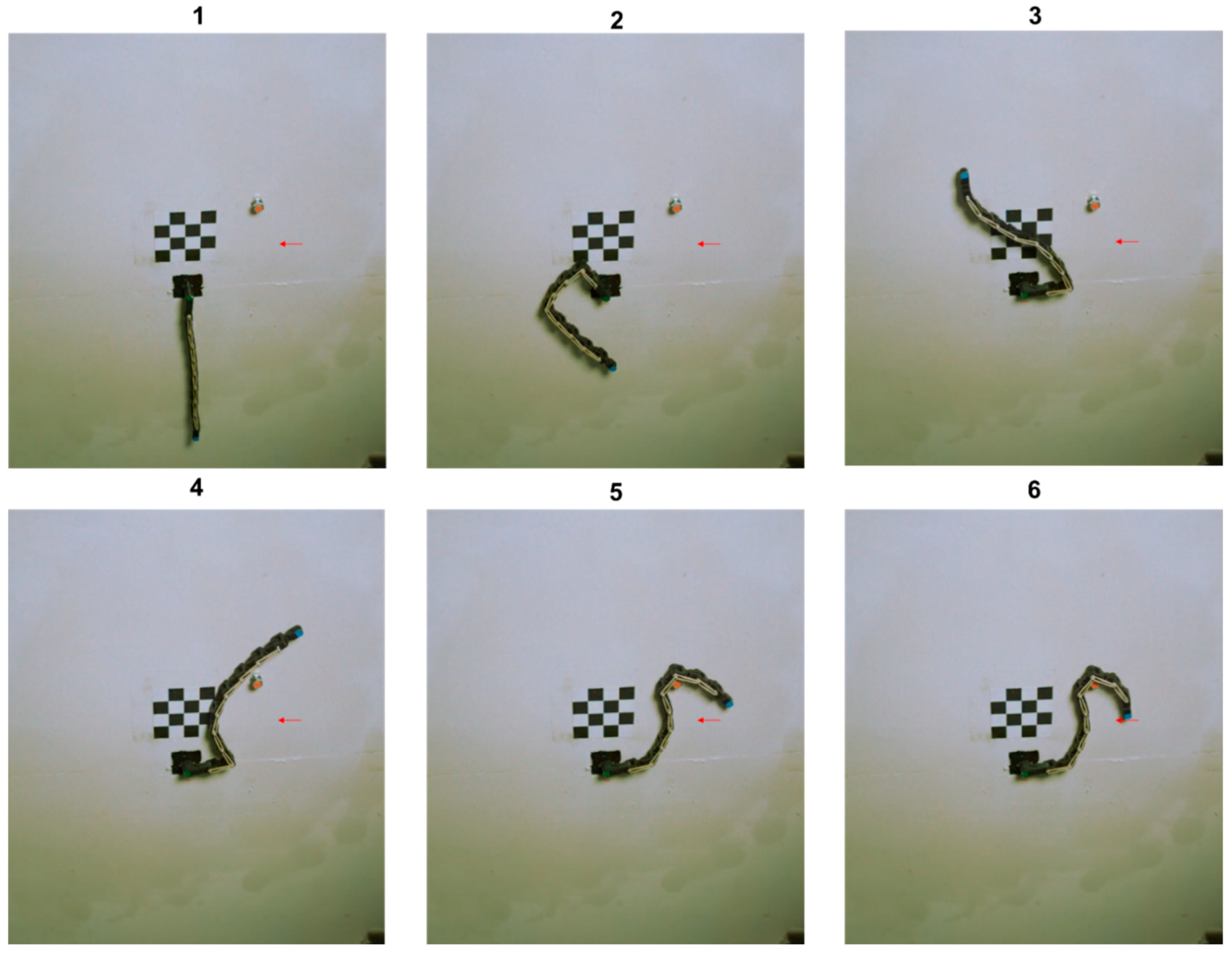 Biomimetics 09 00086 g014