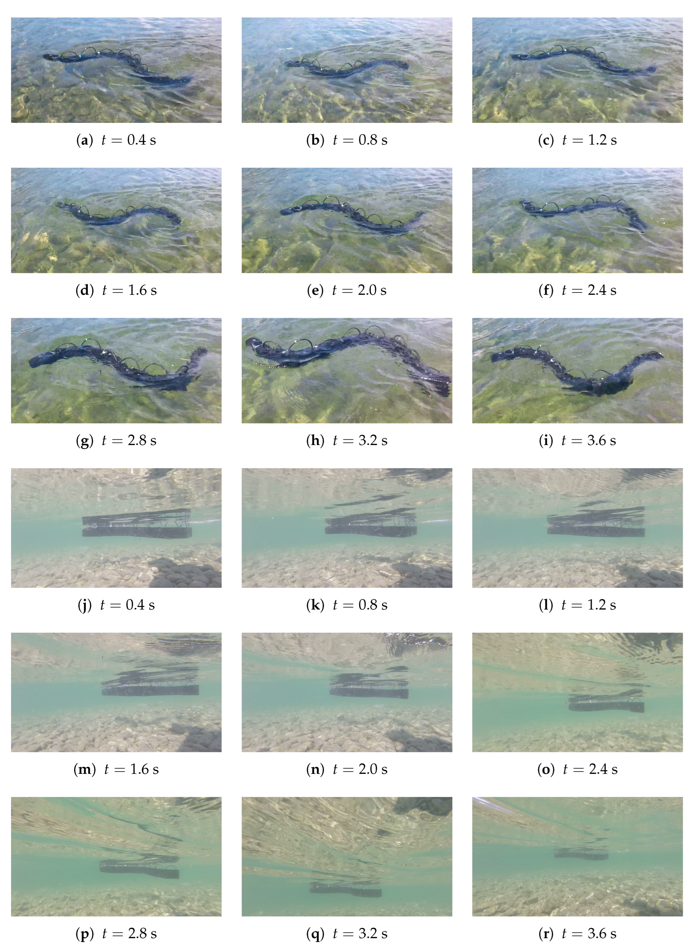 Biomimetics 09 00087 g012 Biomimetics 09 00087 g012