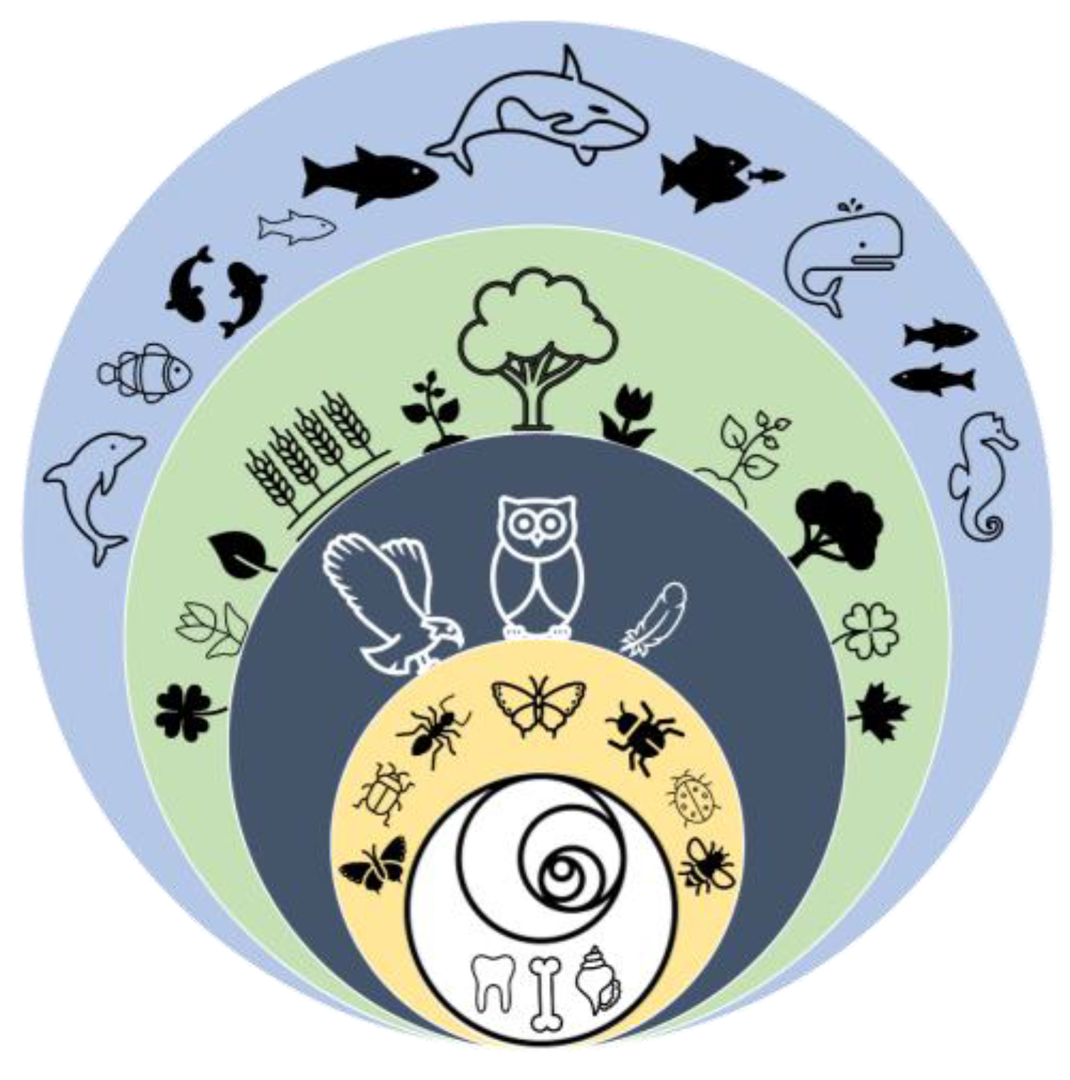 Biomimetics 09 00090 g001 Biomimetics 09 00090 g001