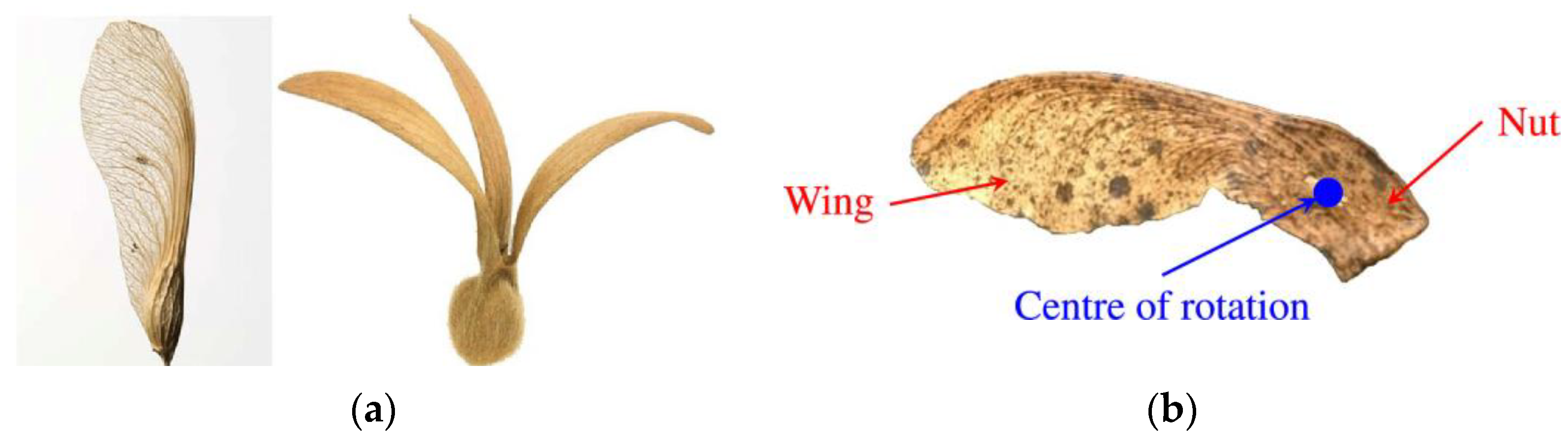 Biomimetics 09 00090 g005 Biomimetics 09 00090 g005