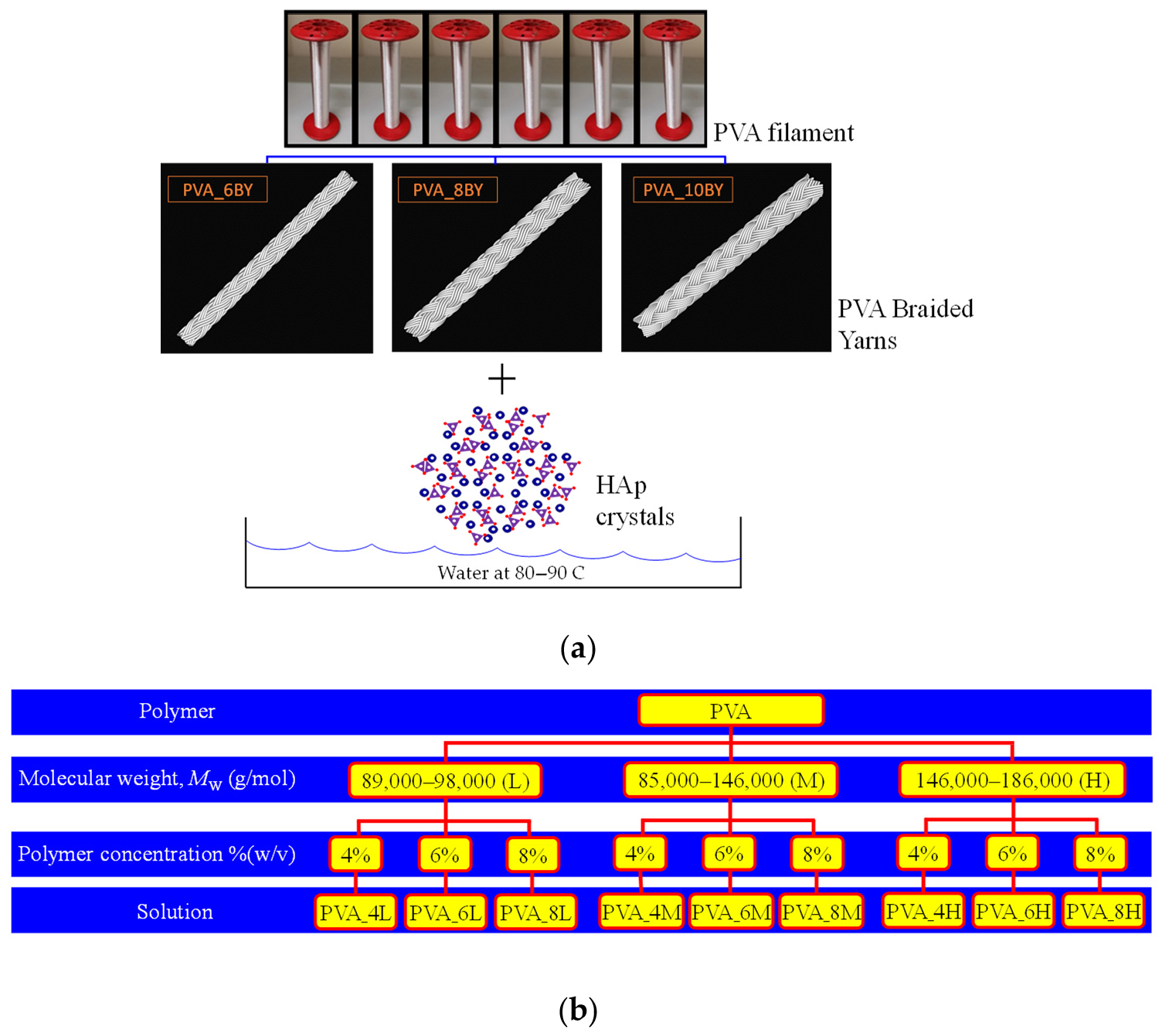 Biomimetics 09 00093 g001