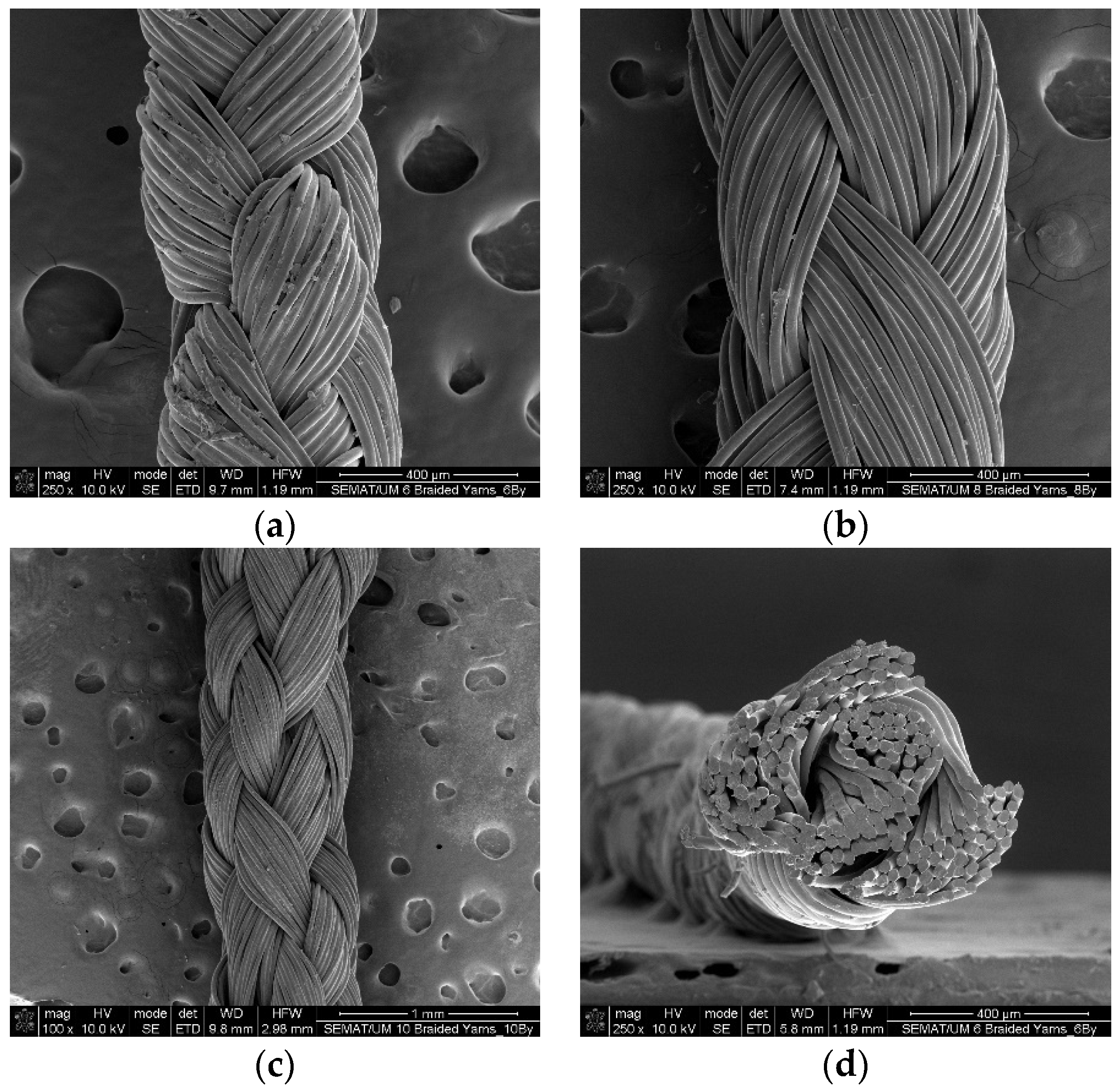 Biomimetics 09 00093 g002a