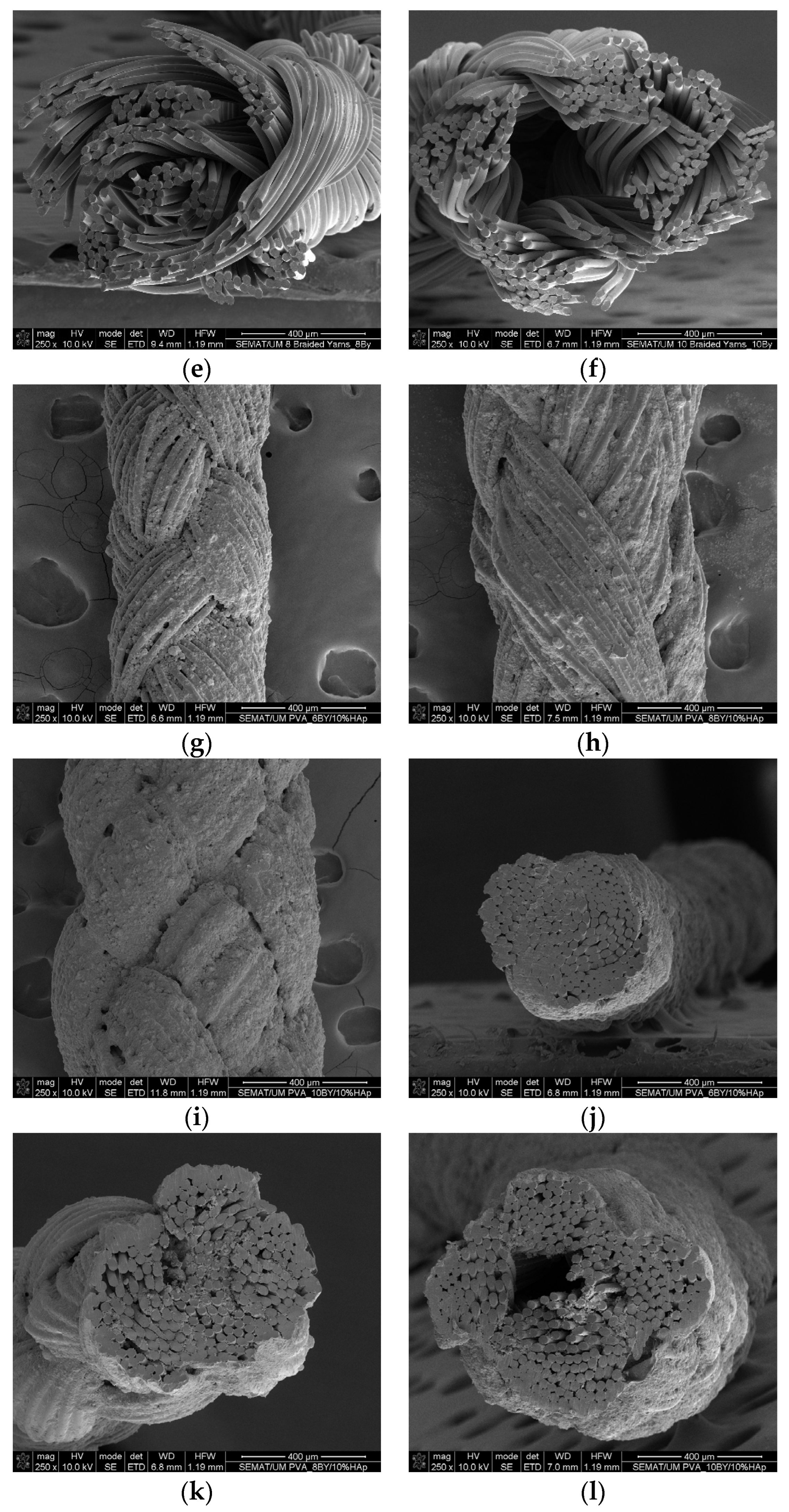 Biomimetics 09 00093 g002b