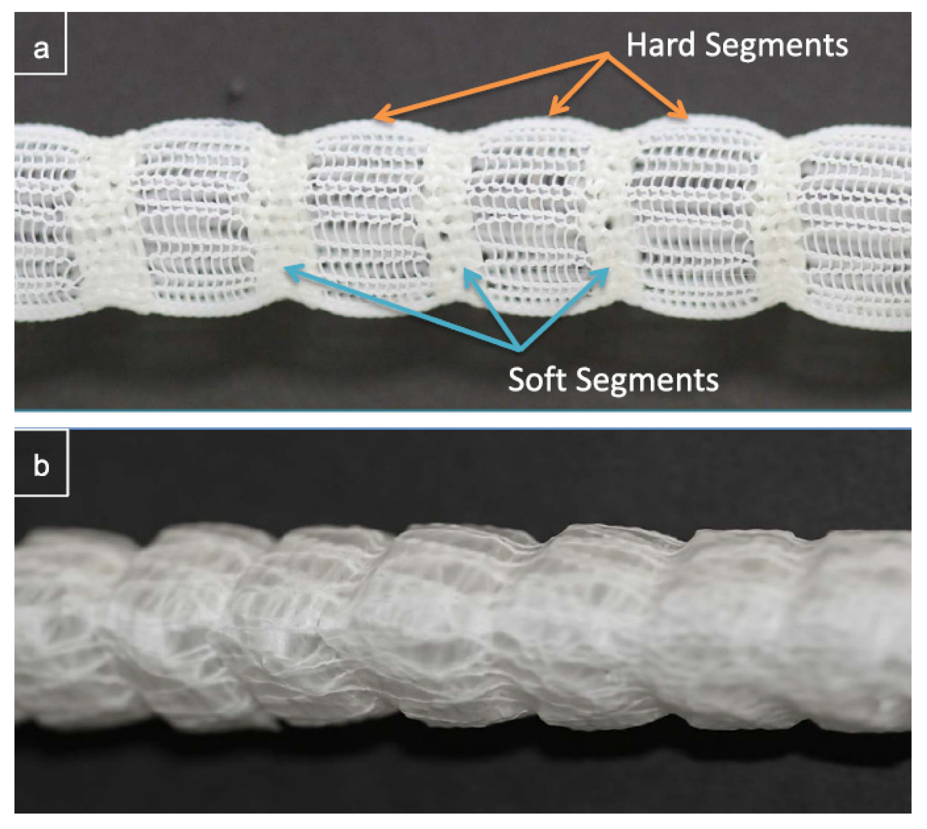 Biomimetics 09 00097 g004