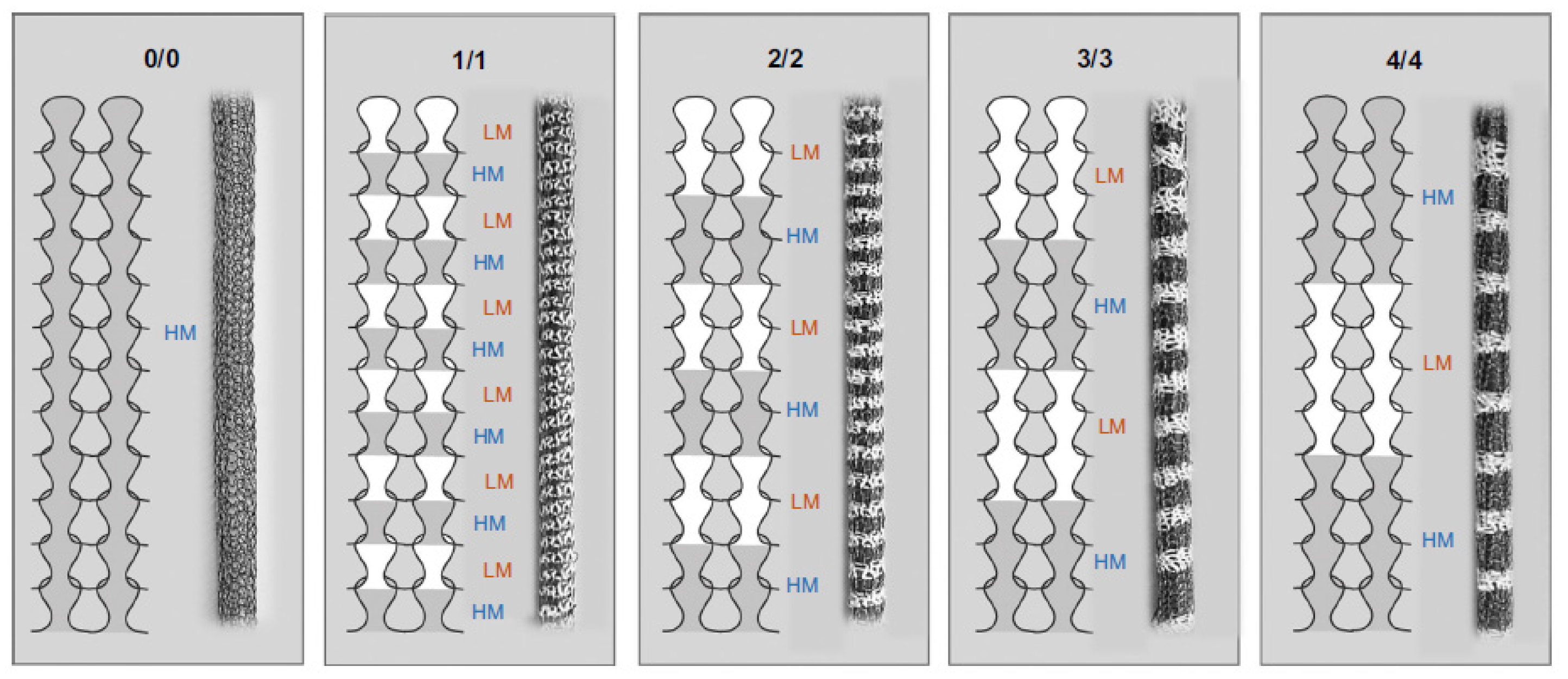 Biomimetics 09 00097 g005