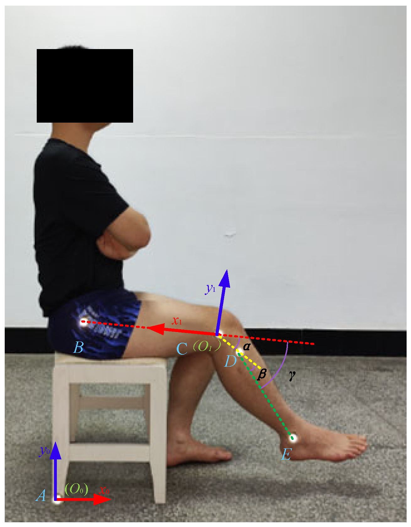 Biomimetics 09 00098 g002