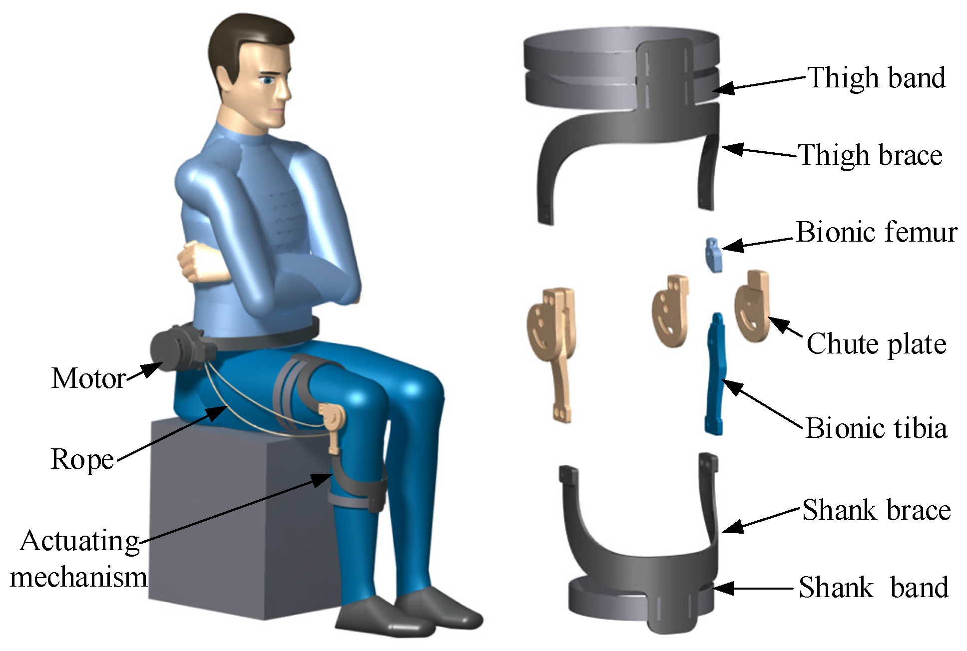 Biomimetics 09 00098 g005