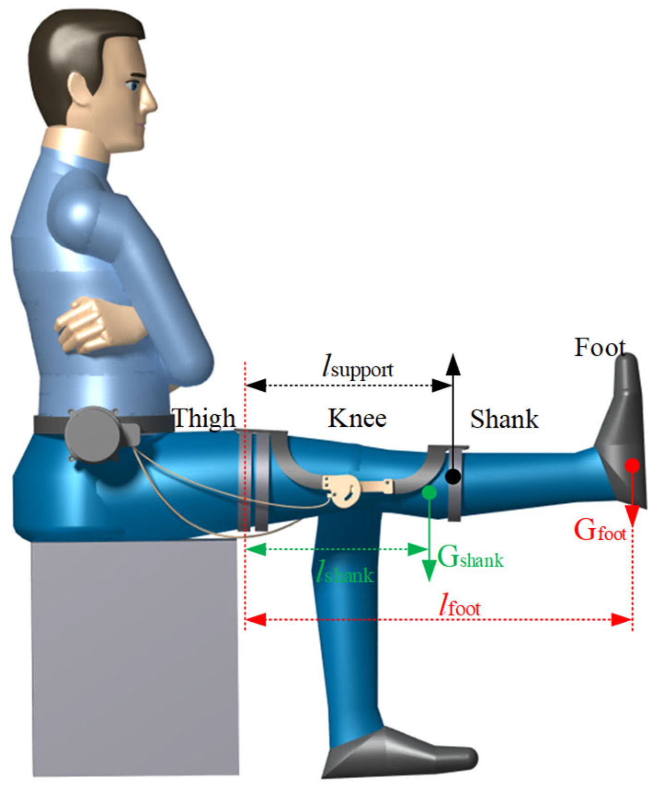 Biomimetics 09 00098 g008