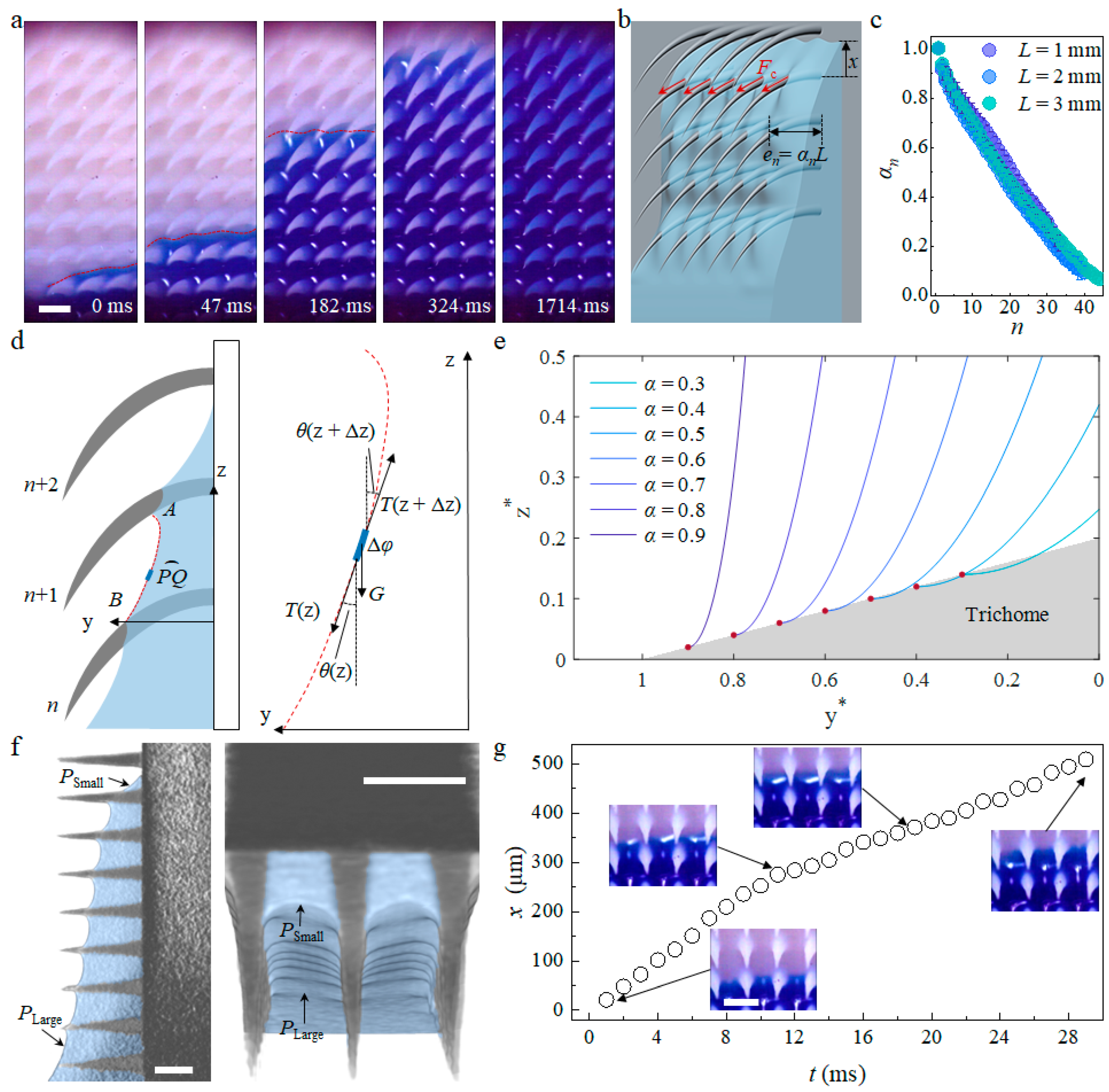 Biomimetics 09 00102 g003