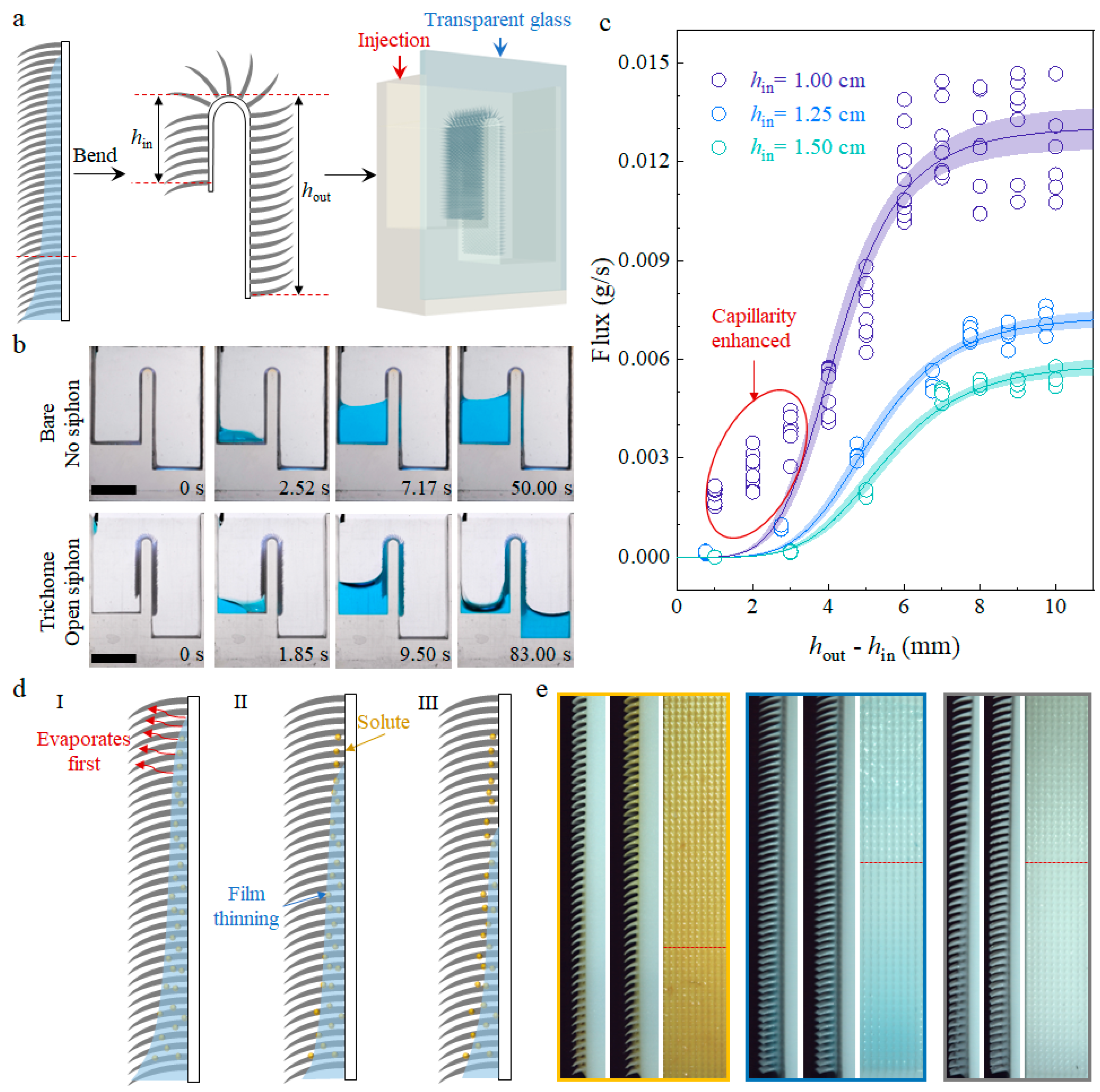 Biomimetics 09 00102 g005