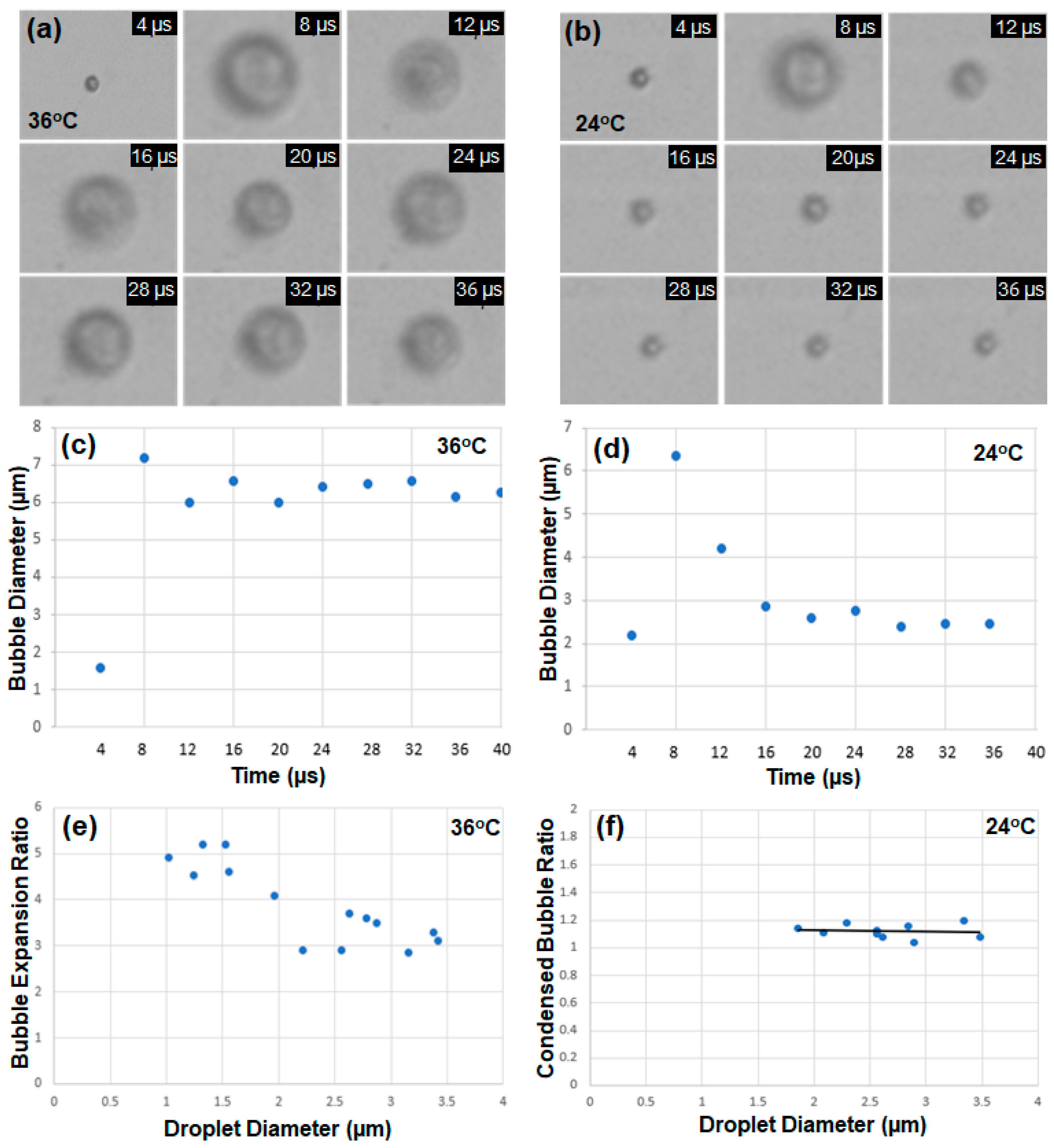 Biomimetics 09 00106 g003