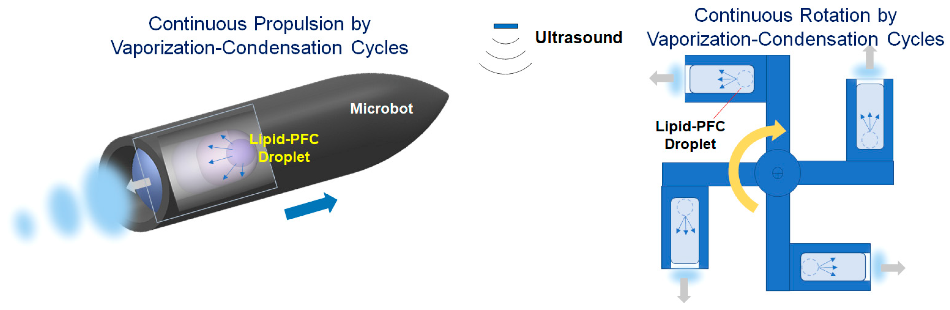 Biomimetics 09 00106 g006