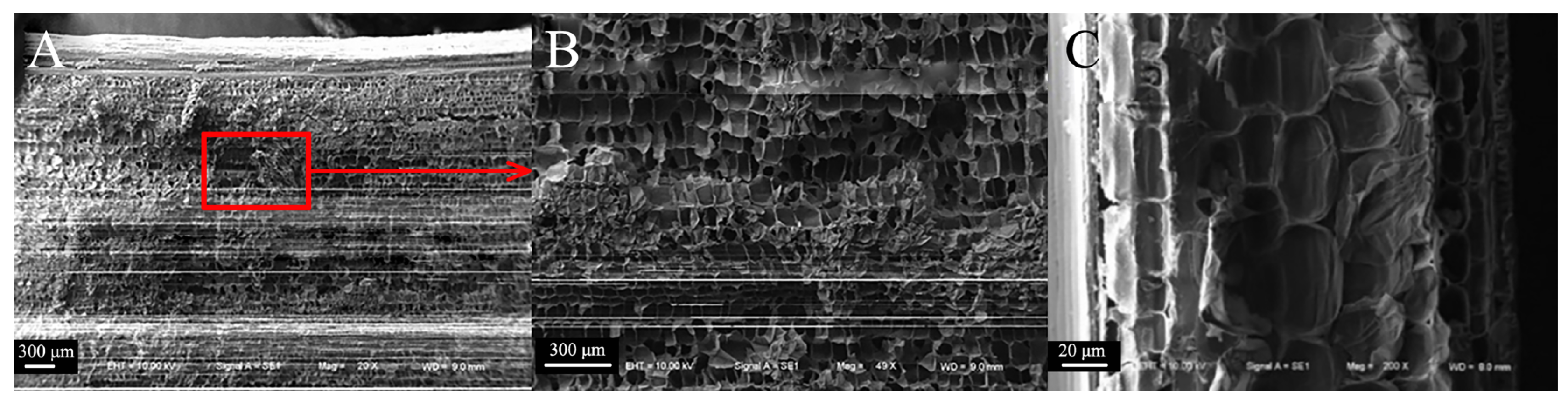 Biomimetics 09 00107 g008