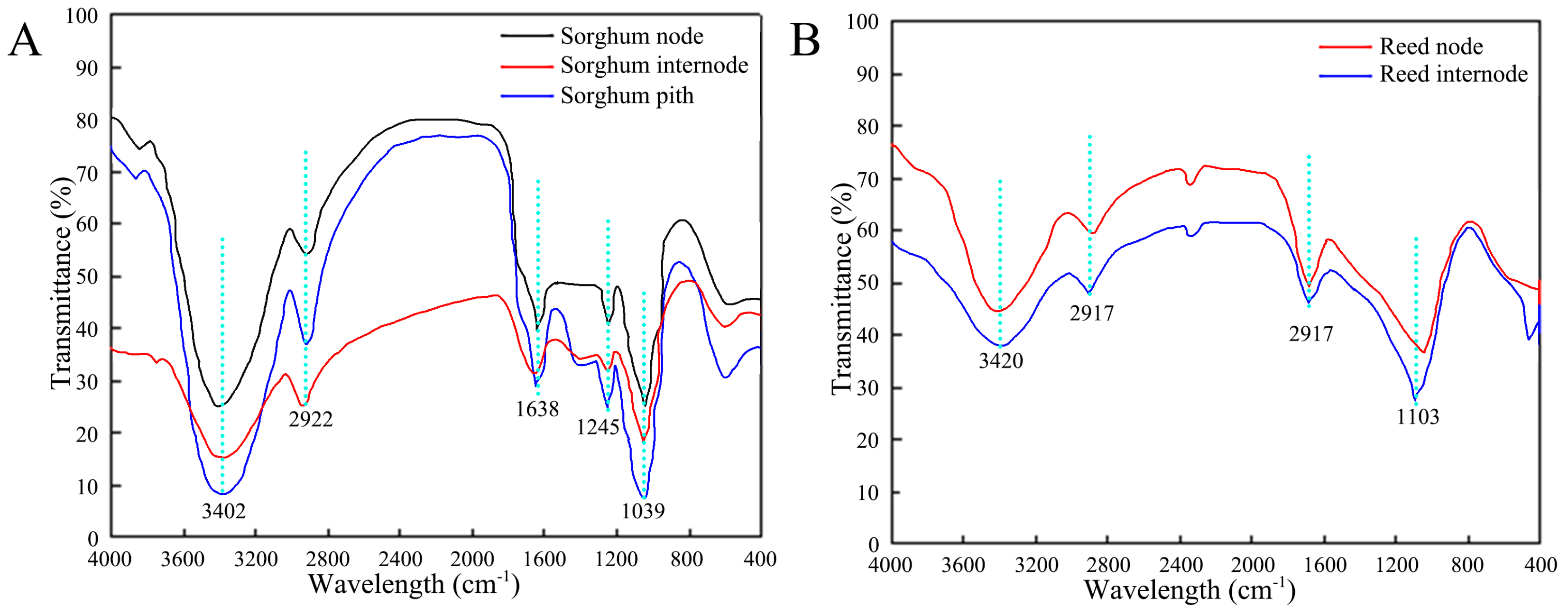 Biomimetics 09 00107 g011