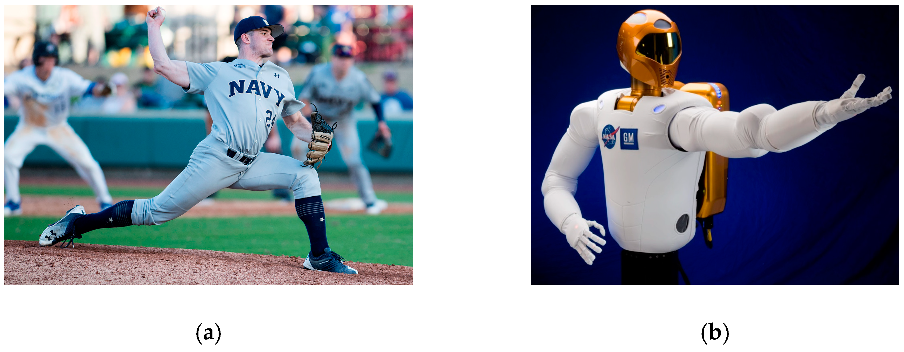 Biomimetics 09 00108 g001