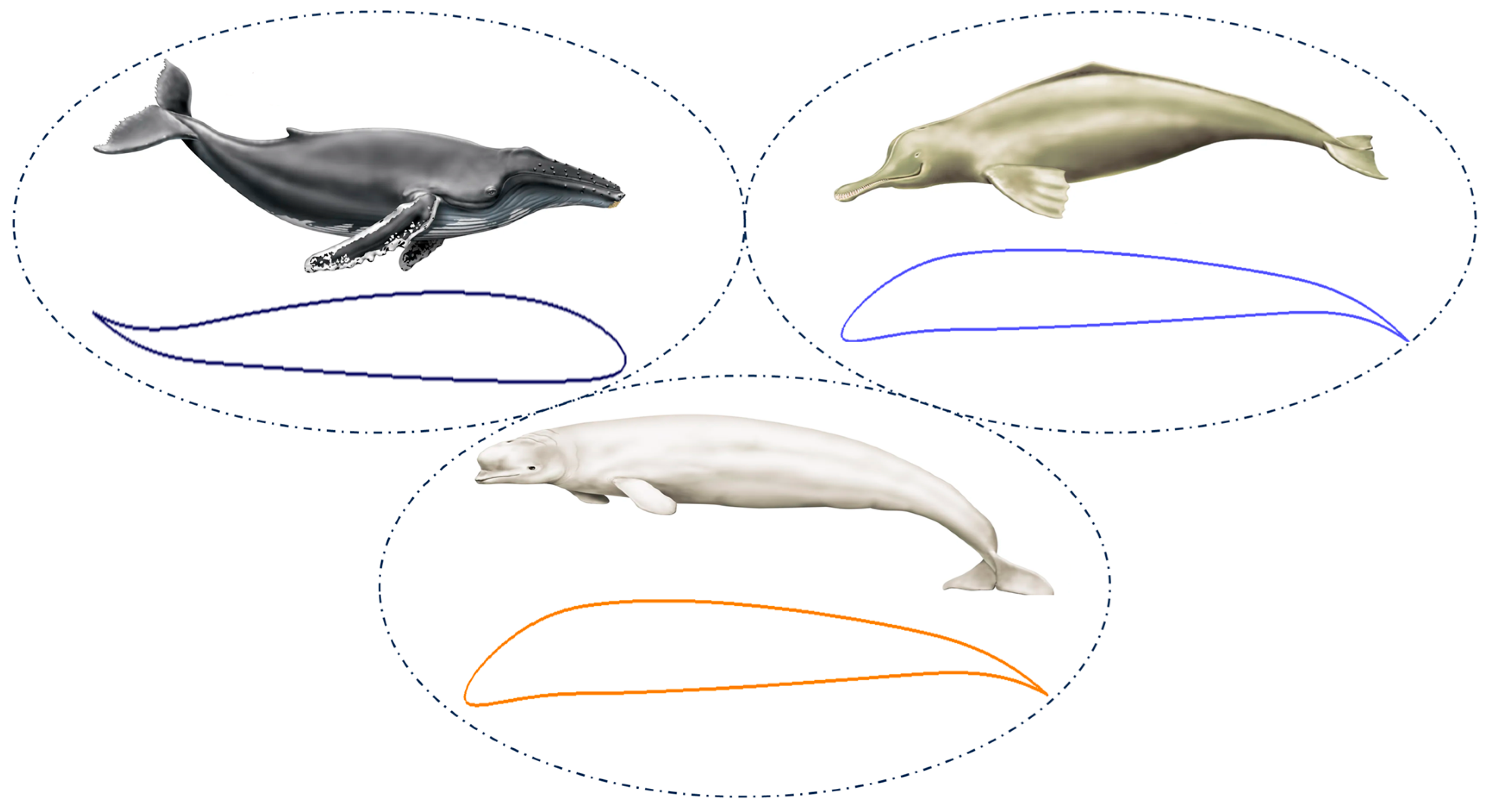 Biomimetics 09 00109 g001