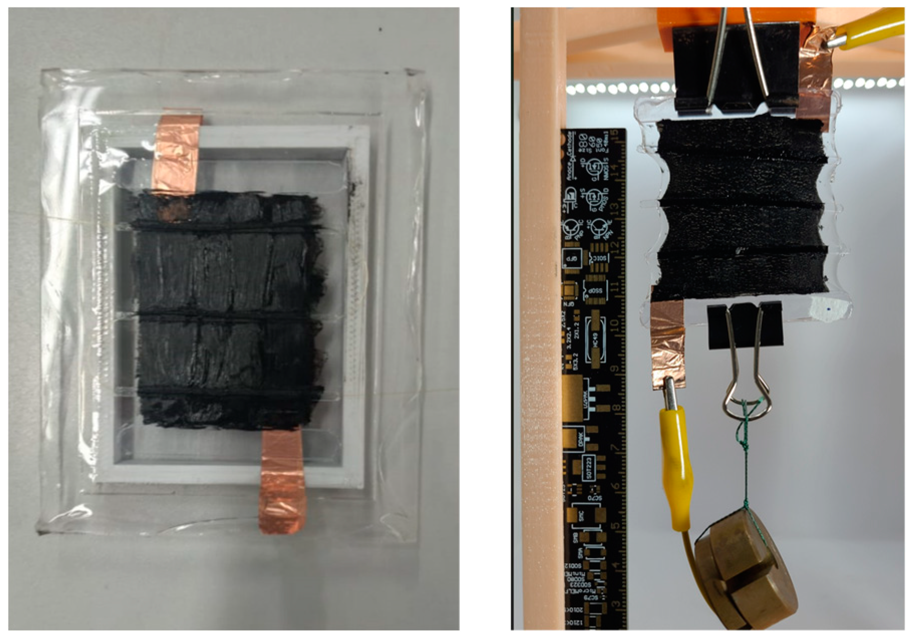 Biomimetics 09 00110 g006b