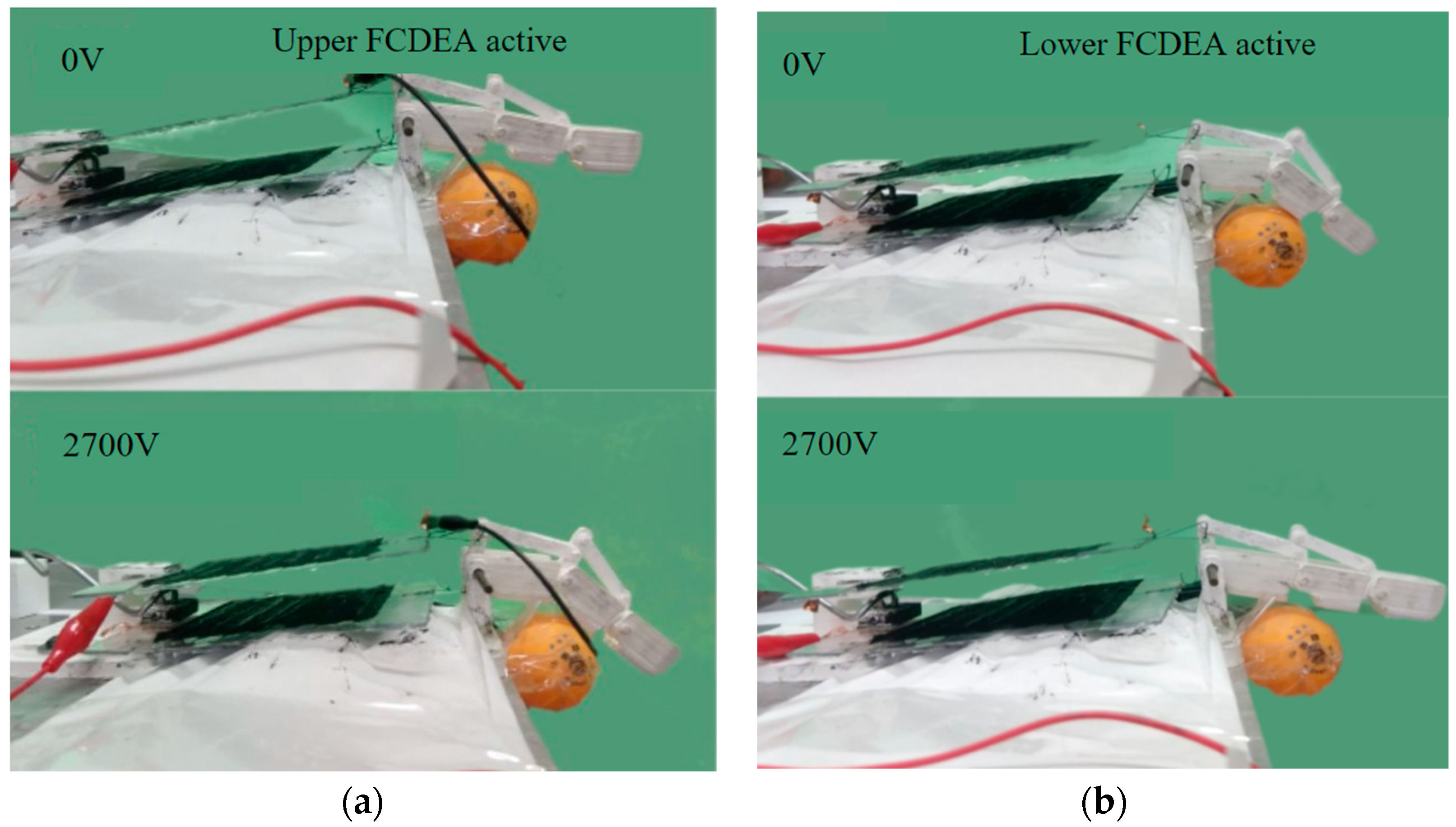 Biomimetics 09 00110 g013