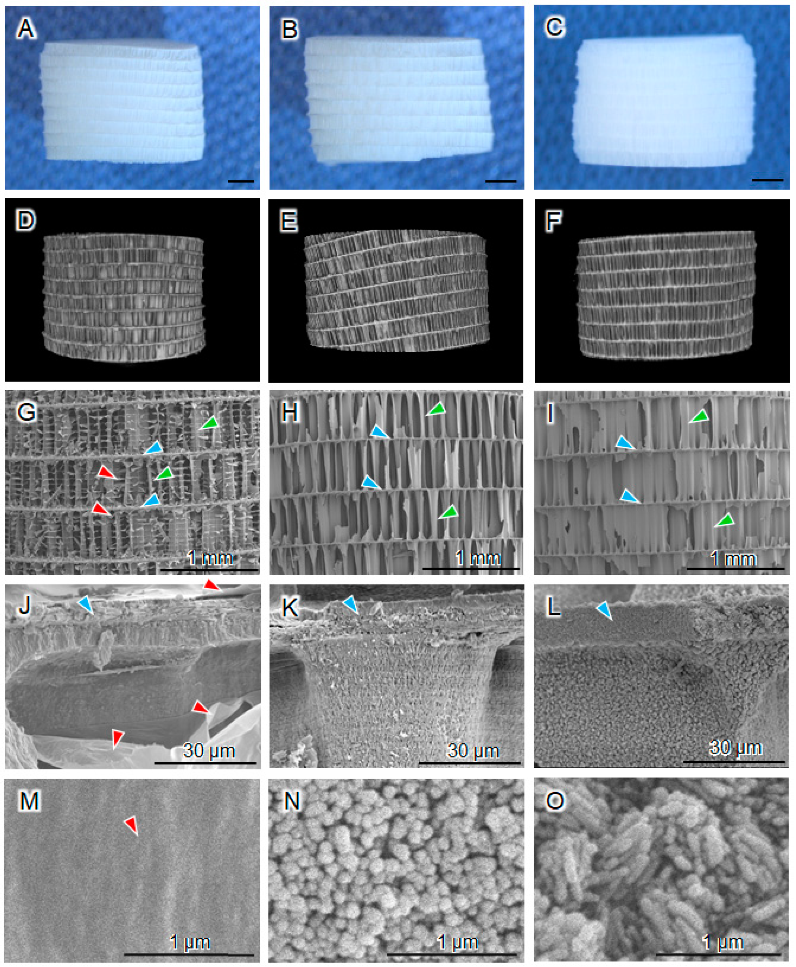 Biomimetics 09 00112 g001