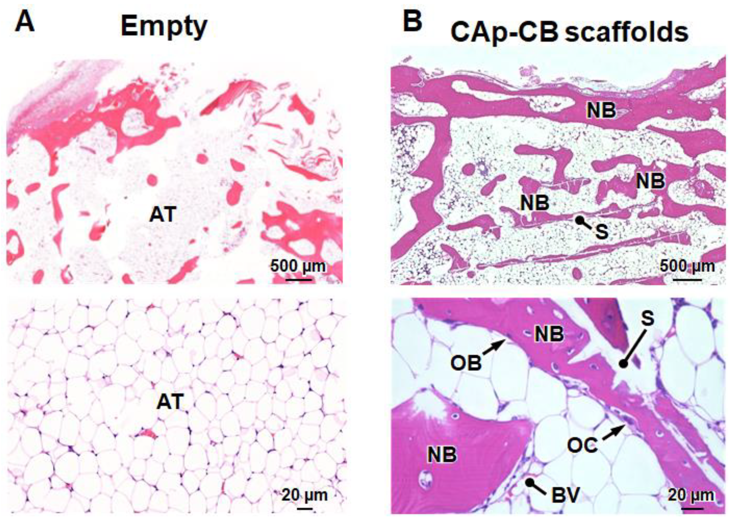 Biomimetics 09 00112 g009