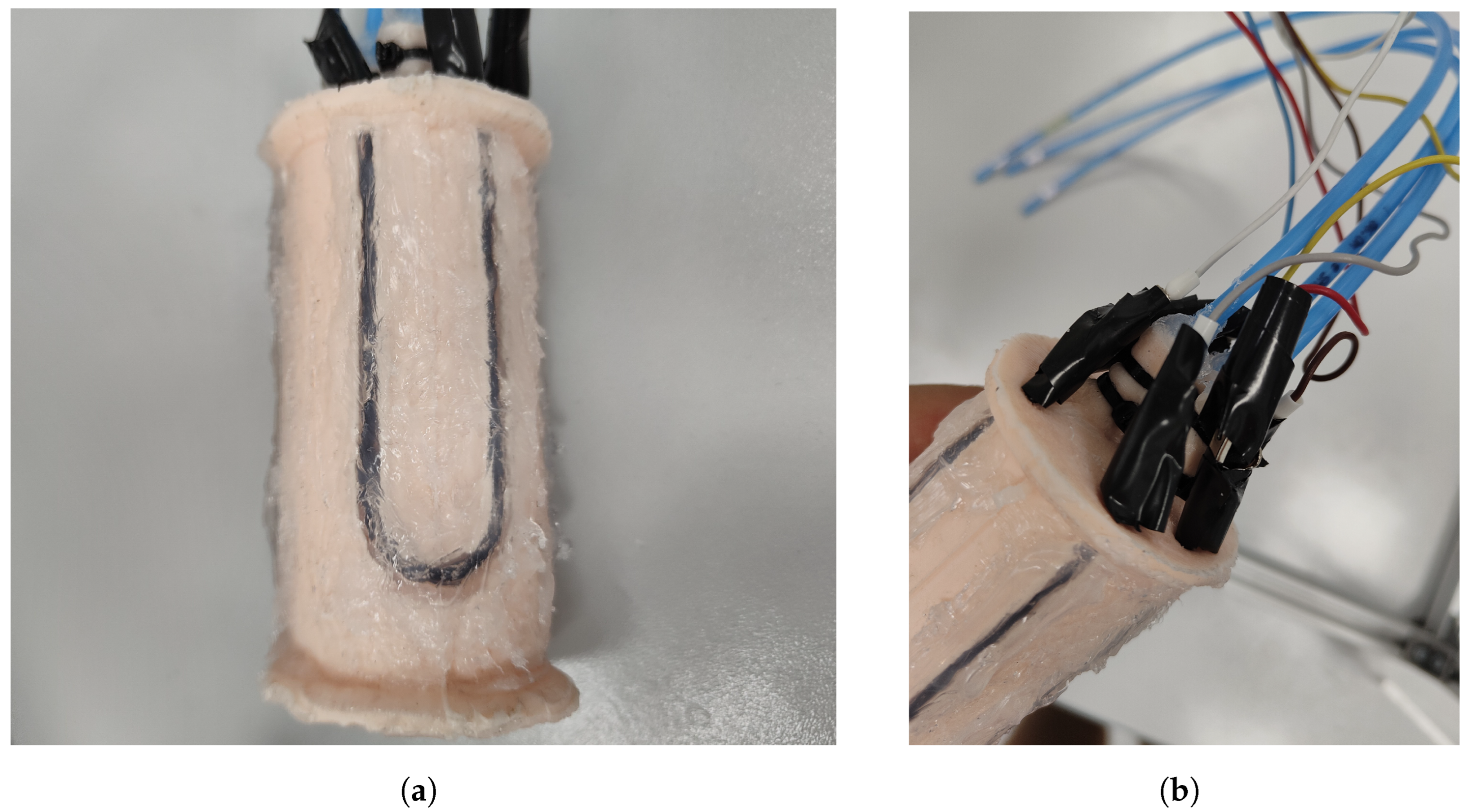 Biomimetics 09 00127 g008