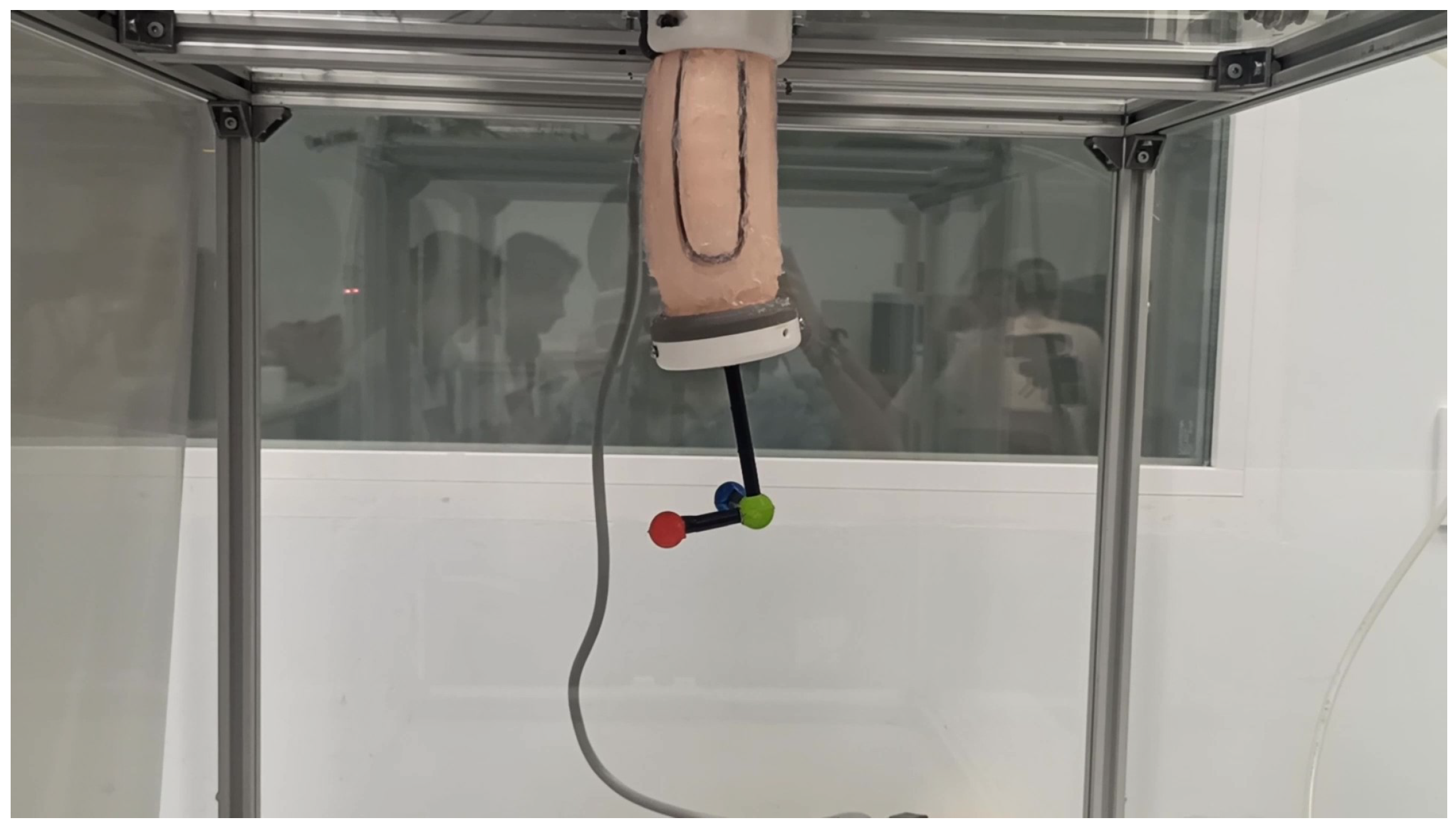 Biomimetics 09 00127 g010