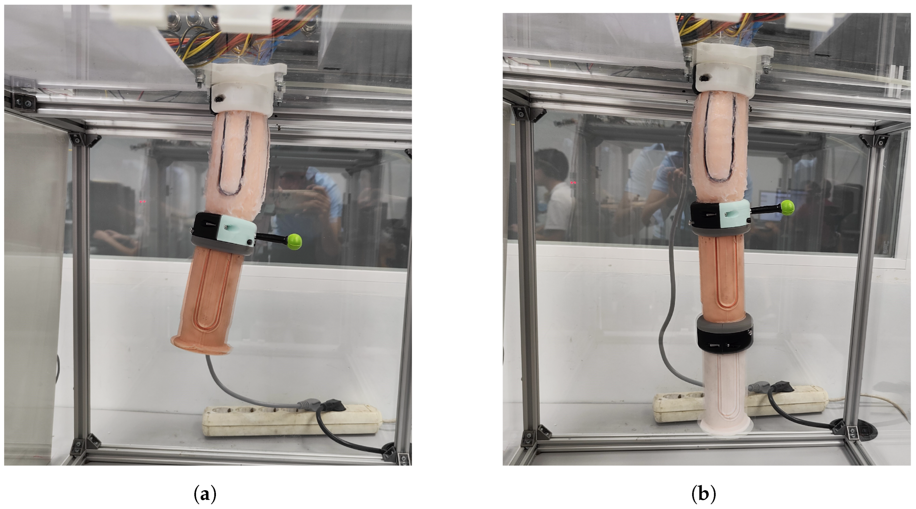 Biomimetics 09 00127 g016