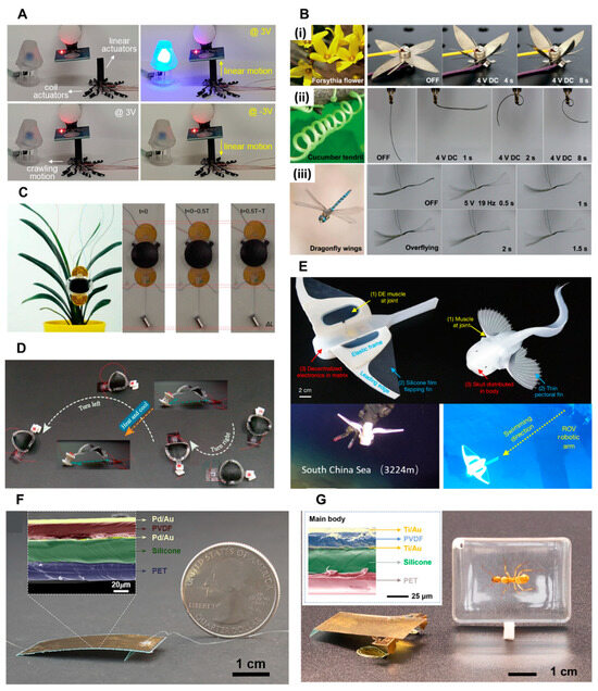 Stimuli-Responsive Dewetting/Wetting Smart Surfaces and