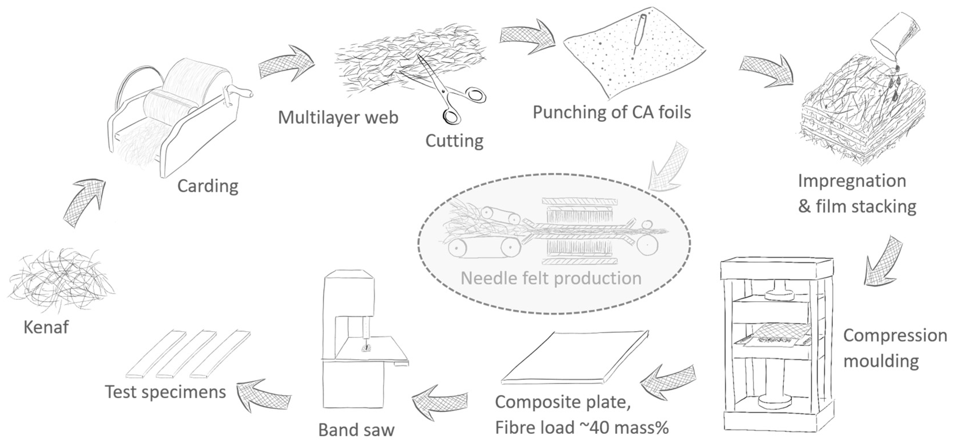 Biomimetics 09 00131 g001