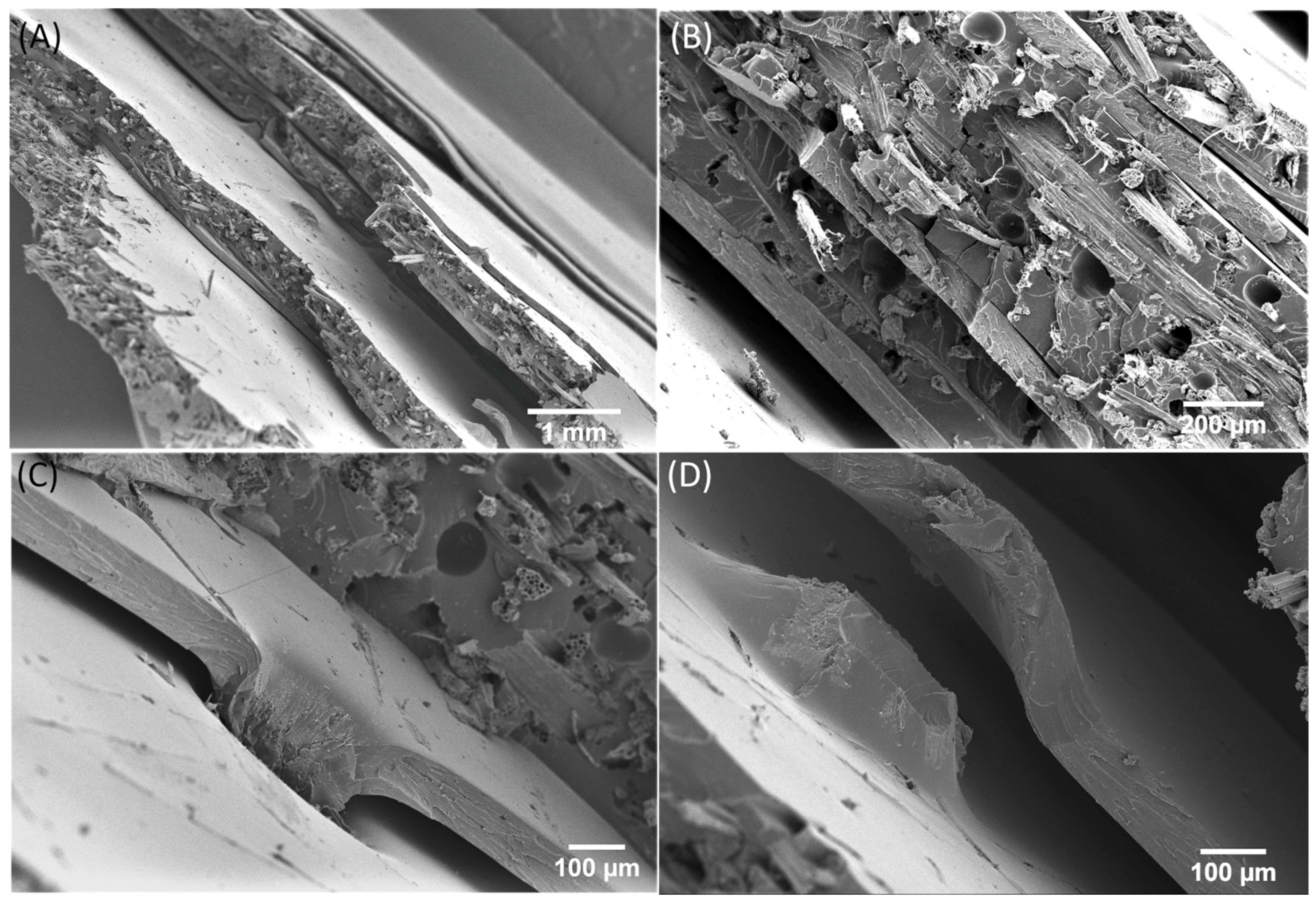 Biomimetics 09 00131 g006