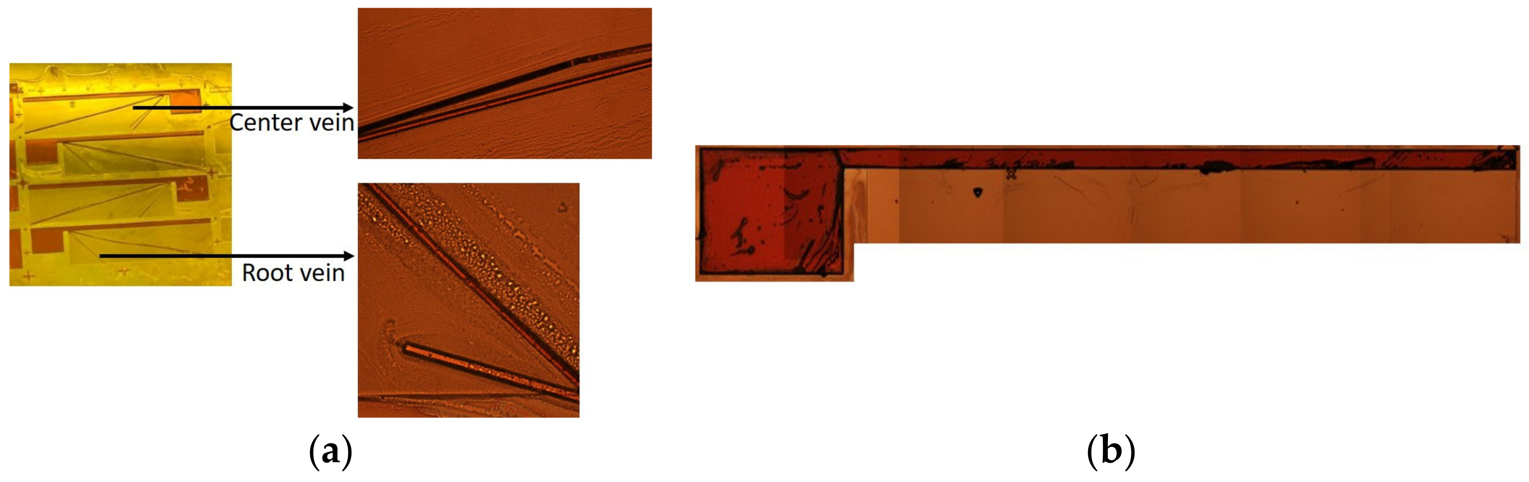 Biomimetics 09 00133 g008