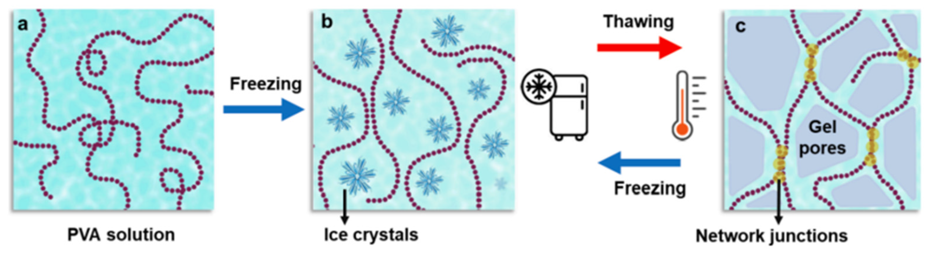 Biomimetics 09 00135 g003