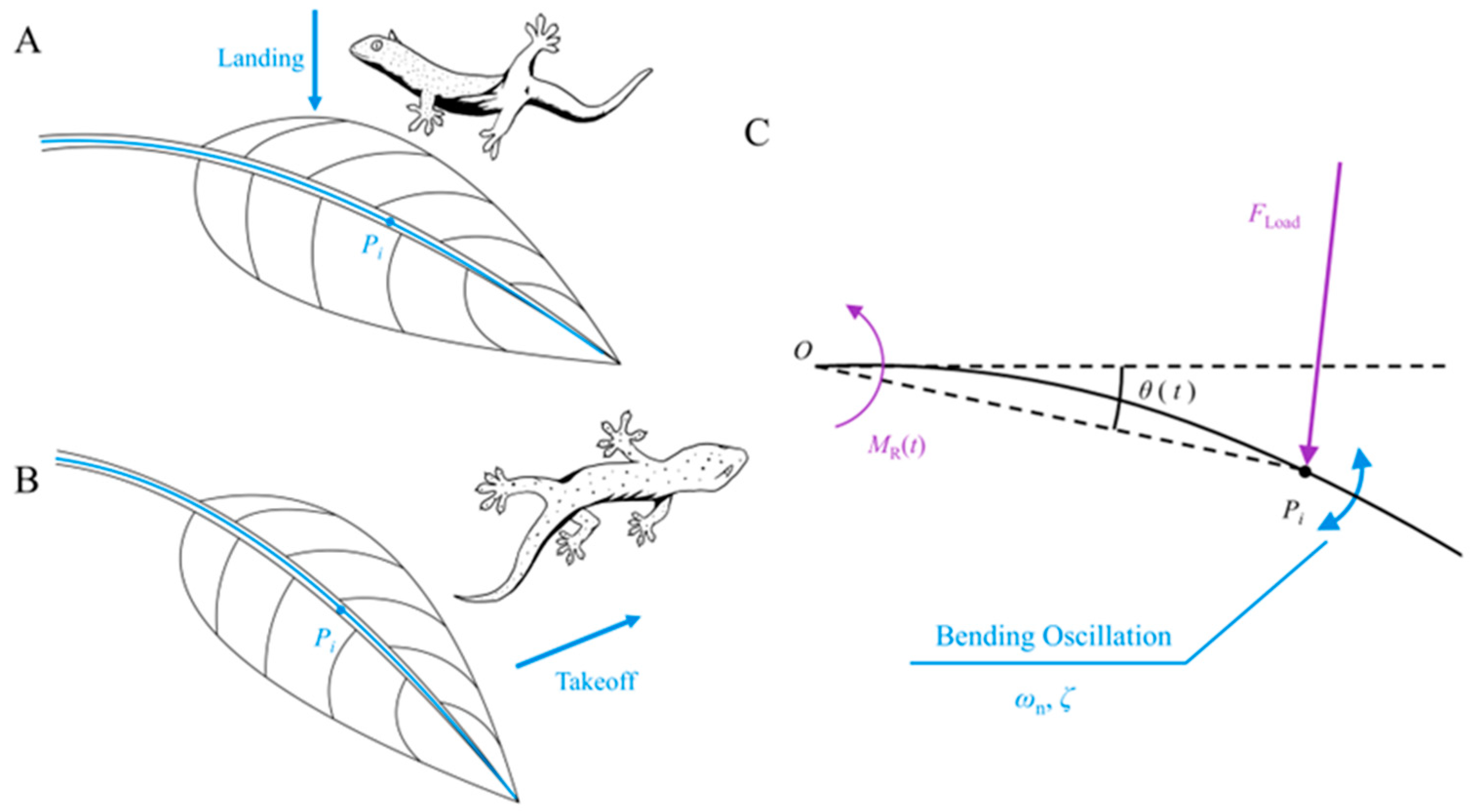 Biomimetics 09 00141 g003 Biomimetics 09 00141 g003