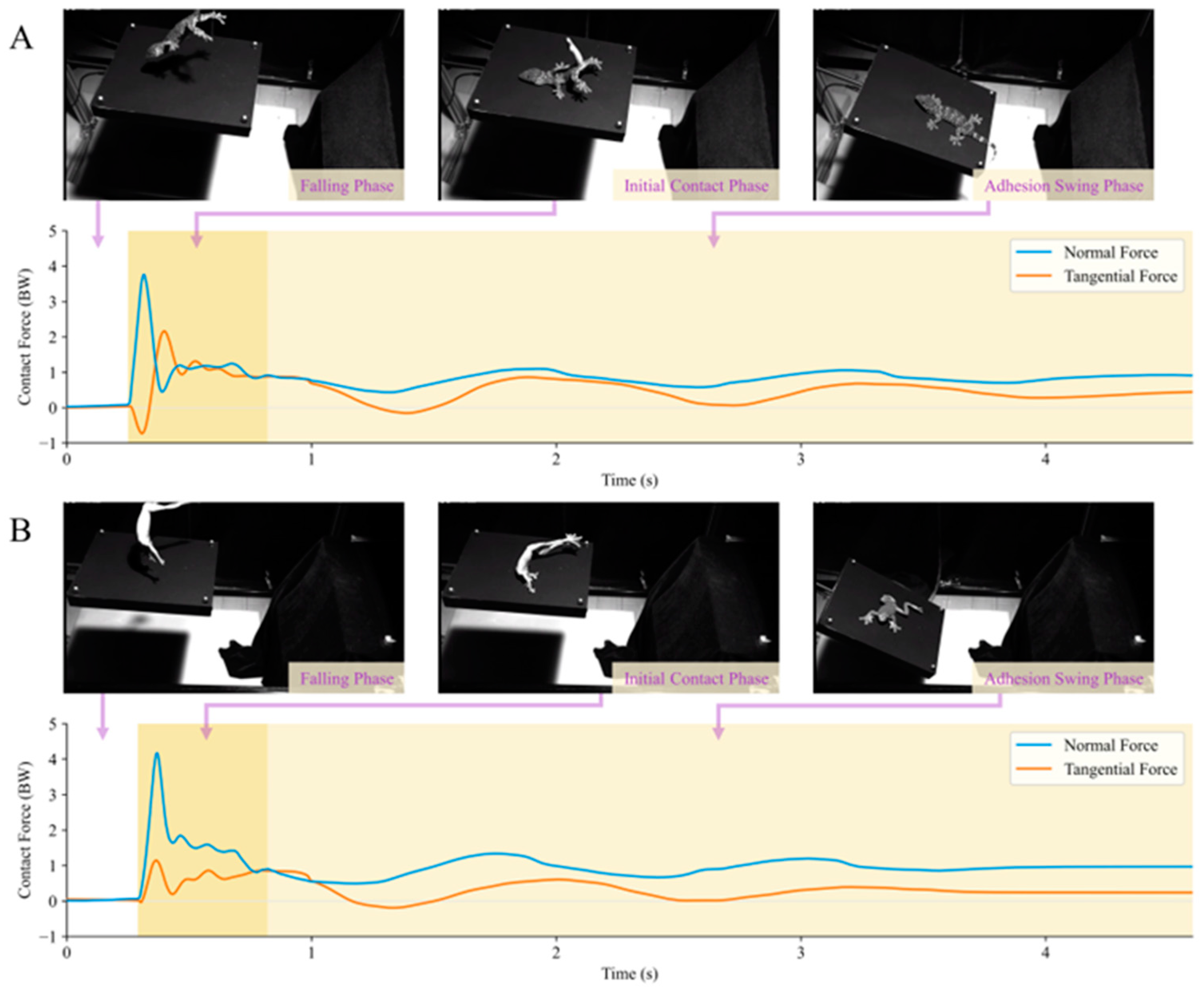 Biomimetics 09 00141 g008 Biomimetics 09 00141 g008