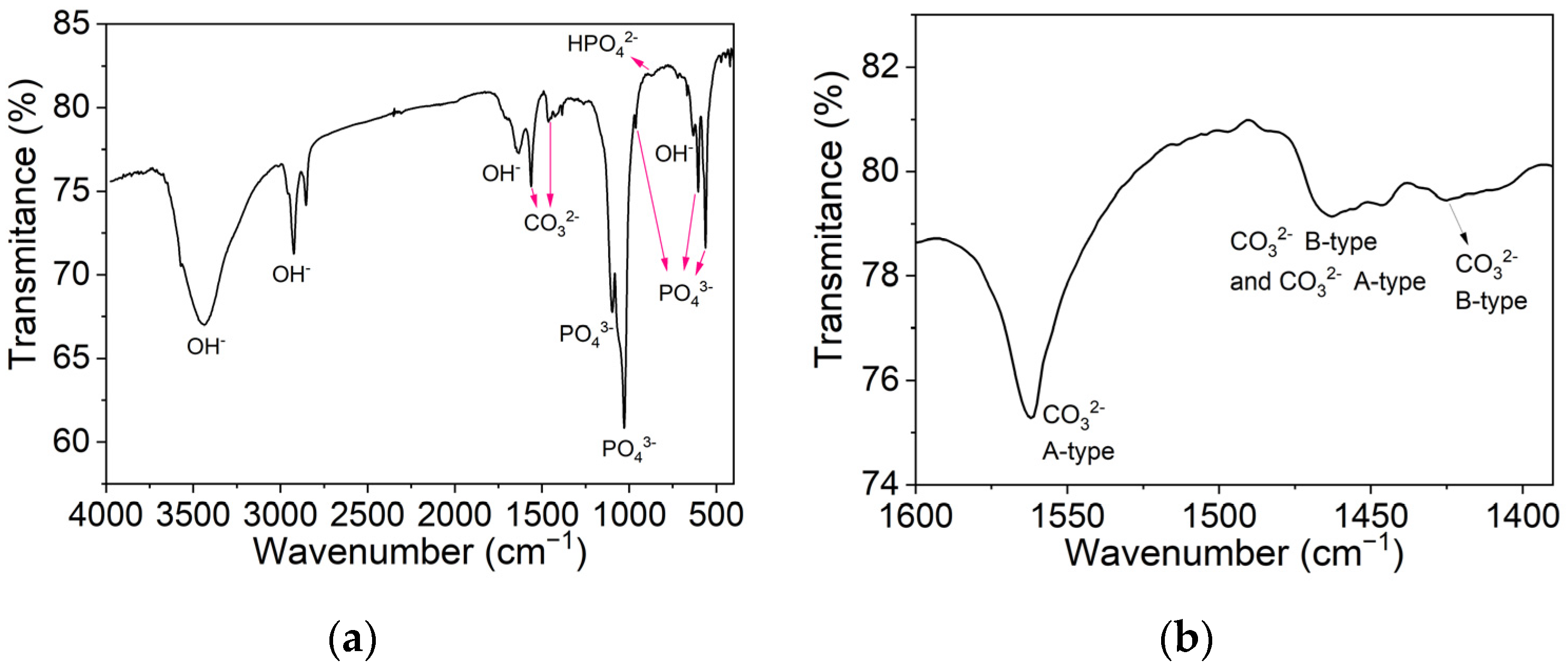 Biomimetics 09 00143 g007