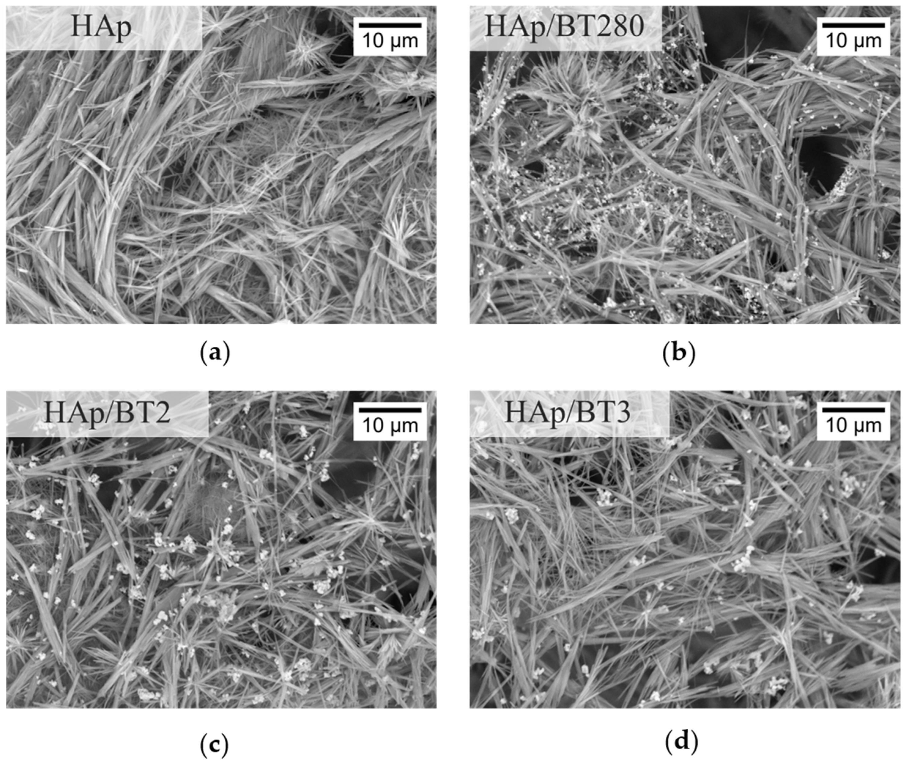 Biomimetics 09 00143 g008