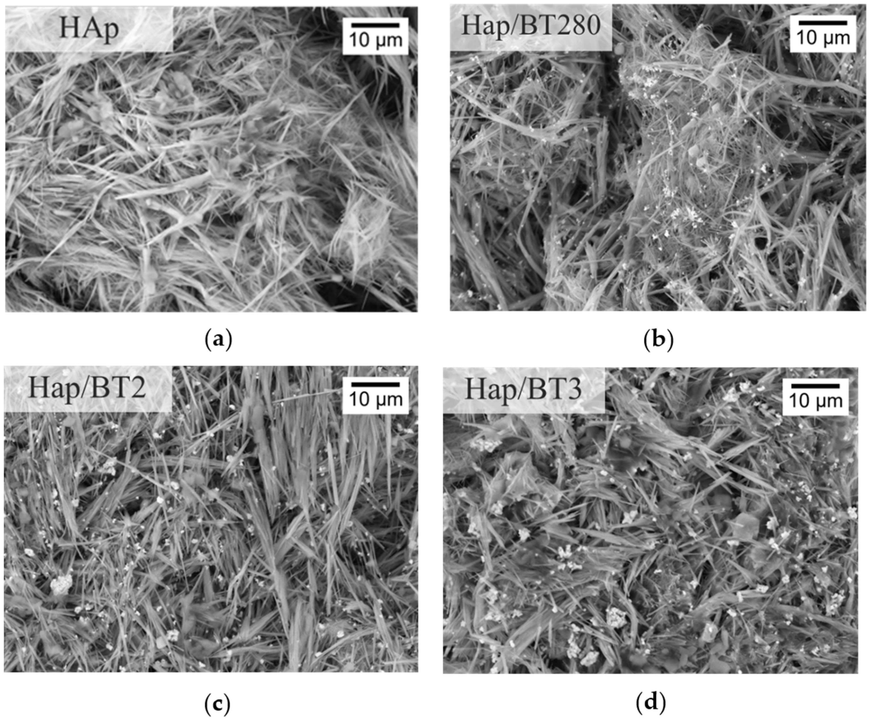 Biomimetics 09 00143 g011