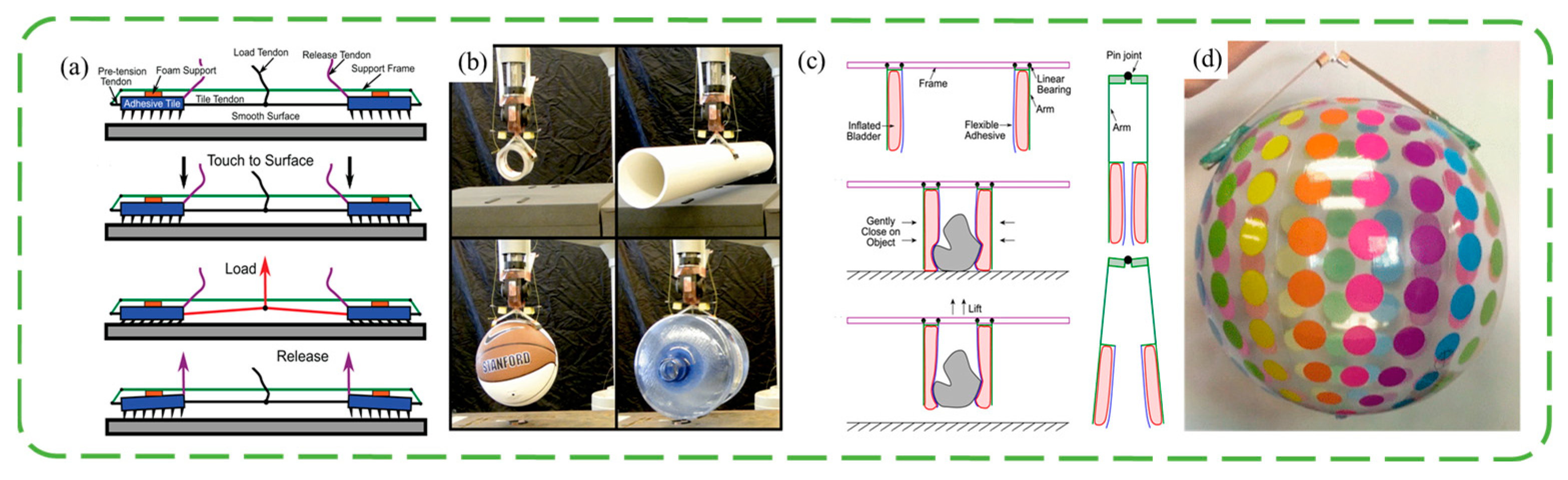 Biomimetics 09 00144 g005