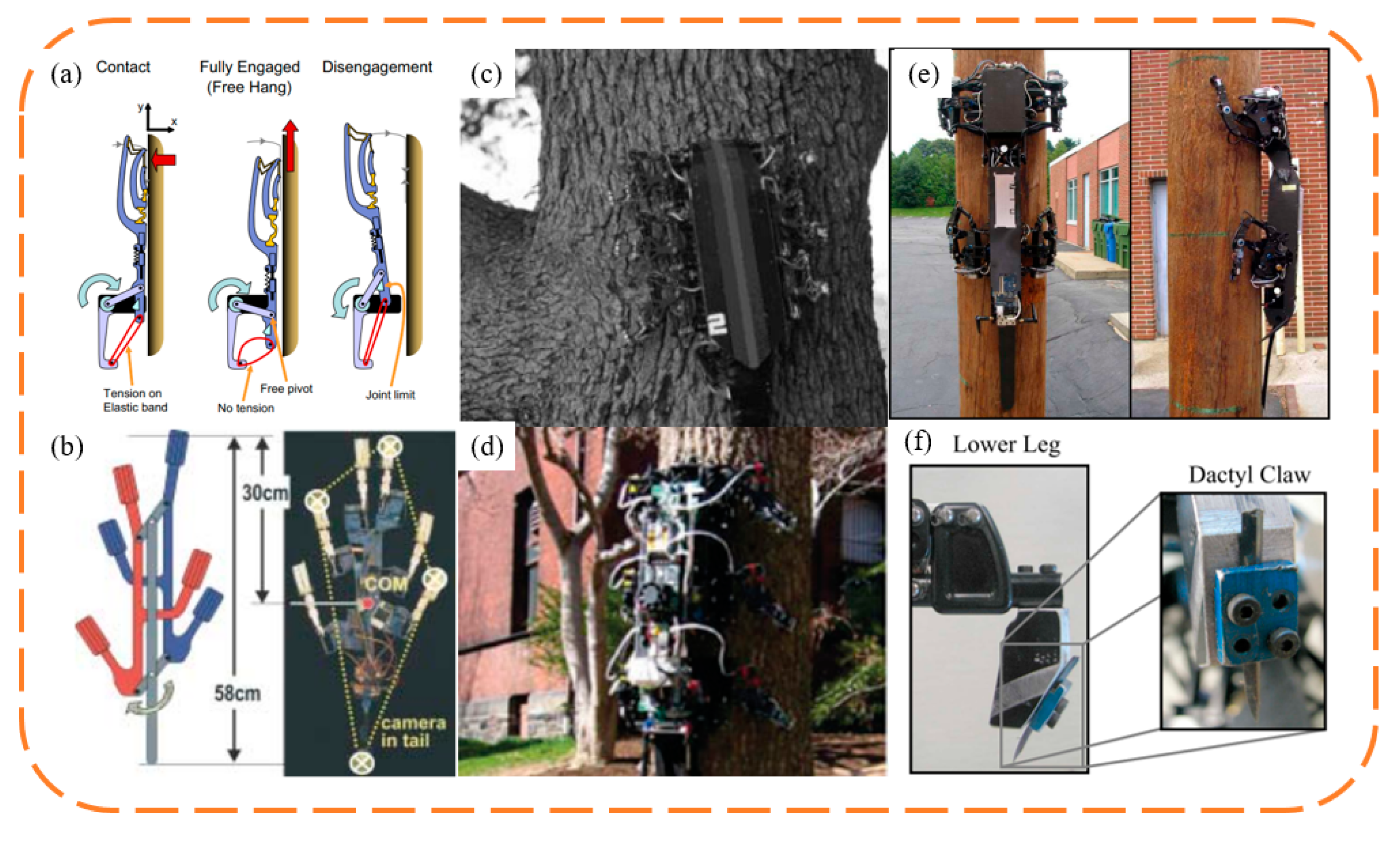 Biomimetics 09 00144 g012