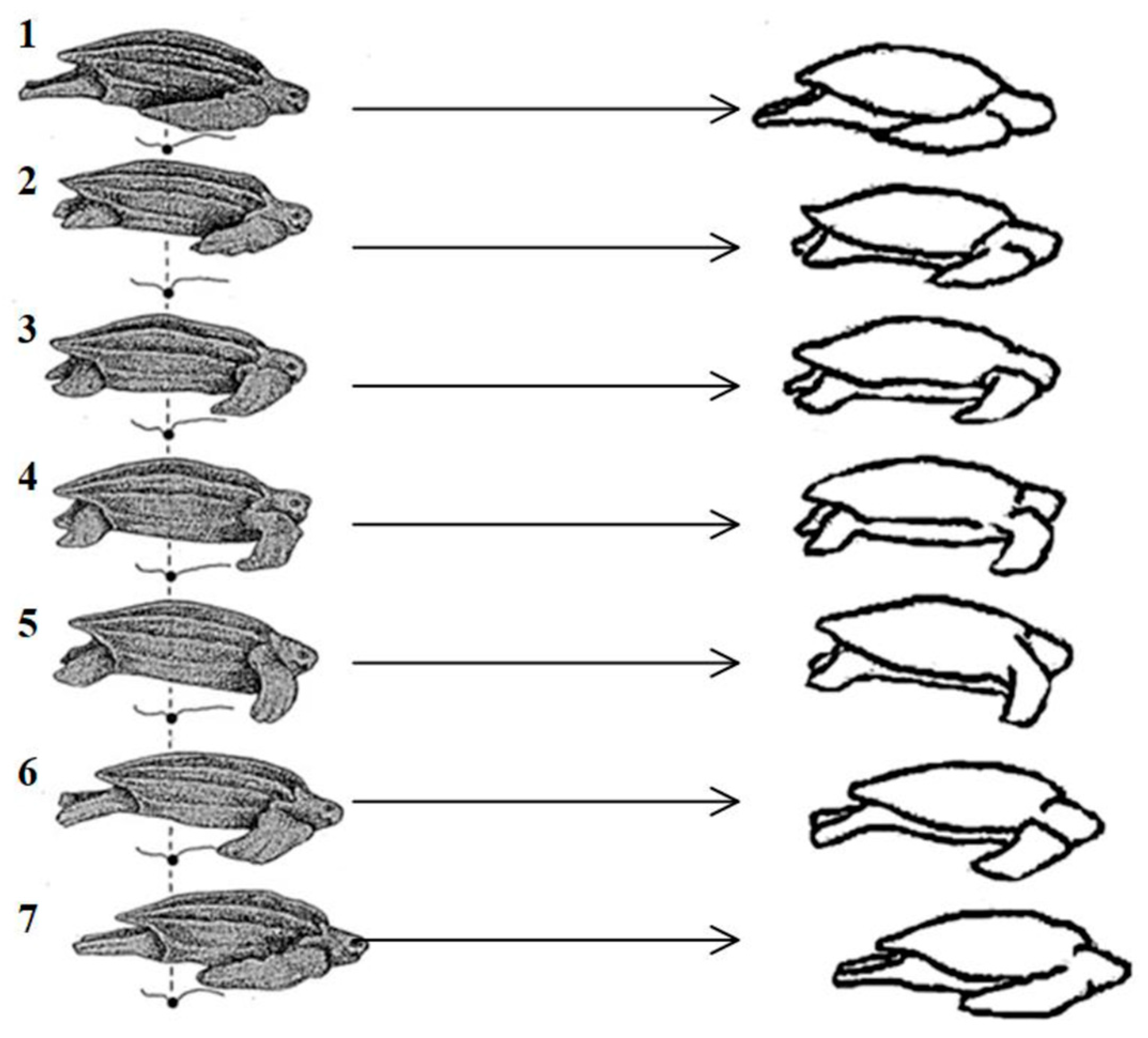 Biomimetics 09 00147 g002