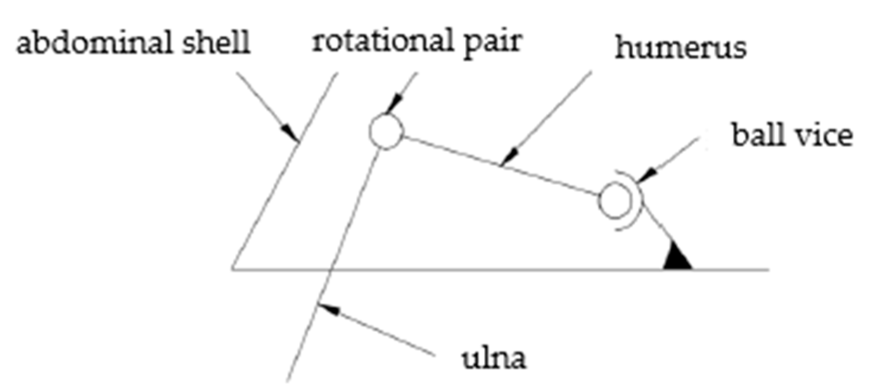 Biomimetics 09 00147 g005