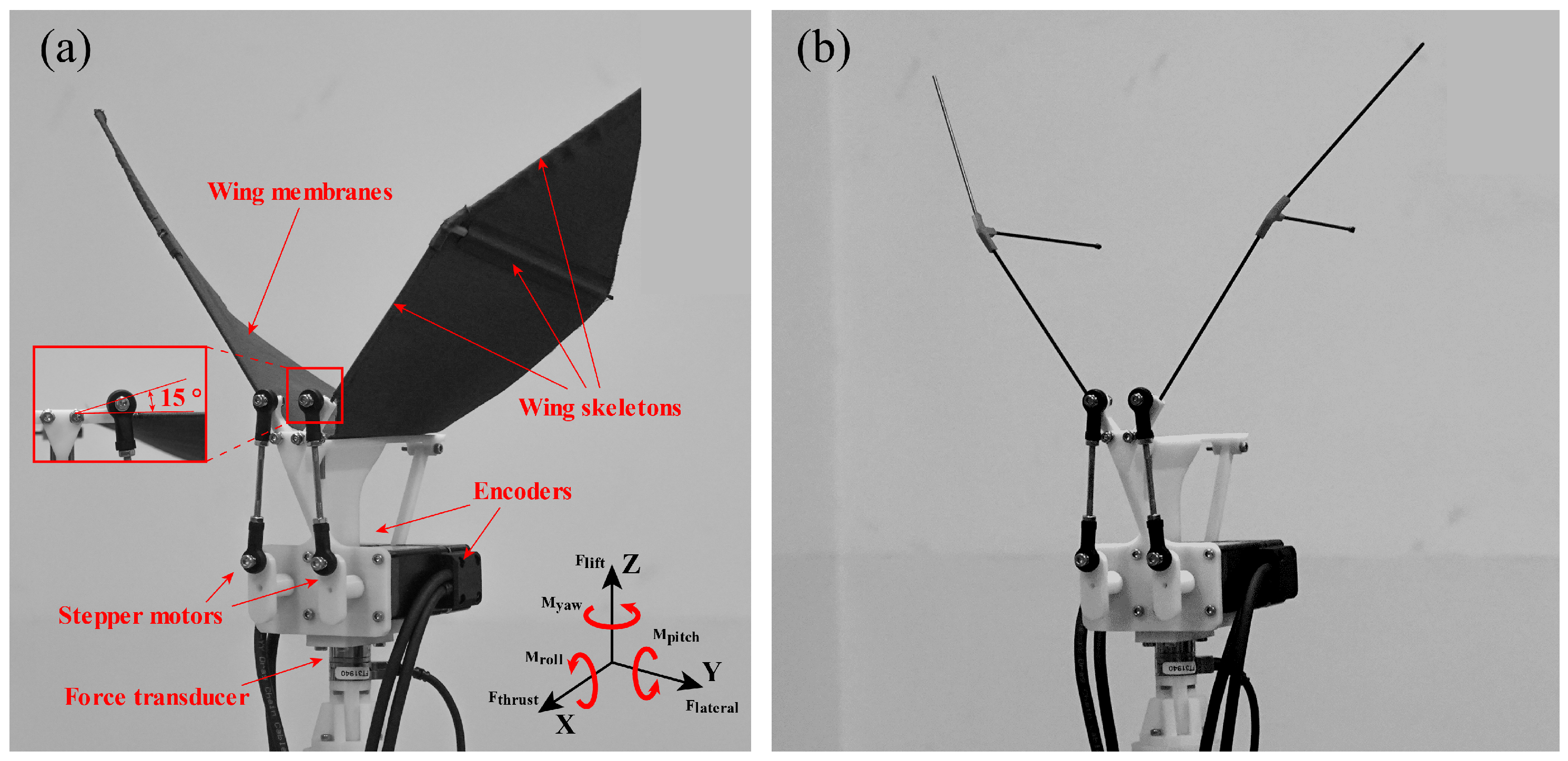 Biomimetics 09 00148 g001
