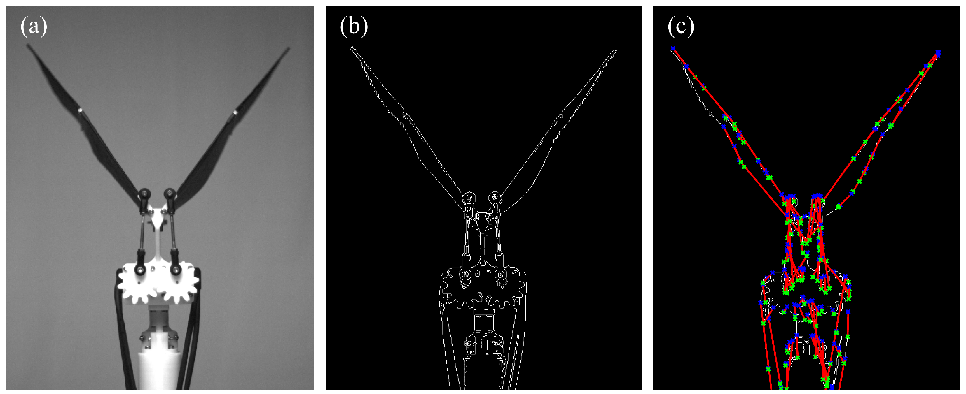 Biomimetics 09 00148 g007