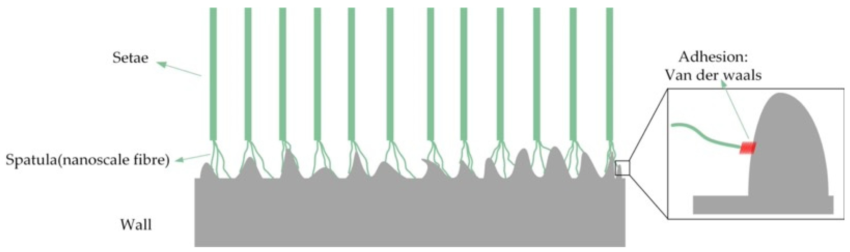 Biomimetics 09 00149 g003 Biomimetics 09 00149 g003
