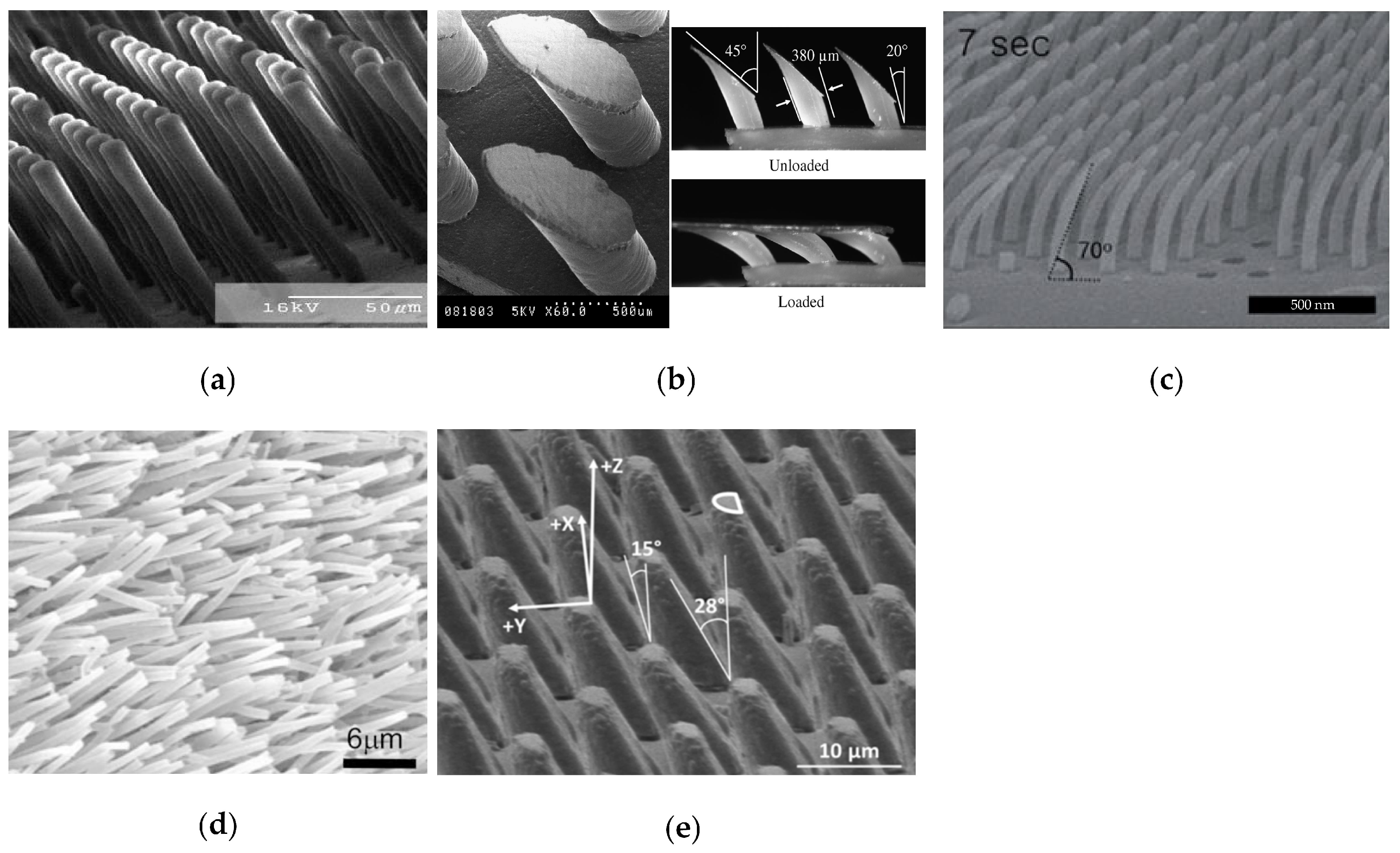 Biomimetics 09 00149 g005 Biomimetics 09 00149 g005