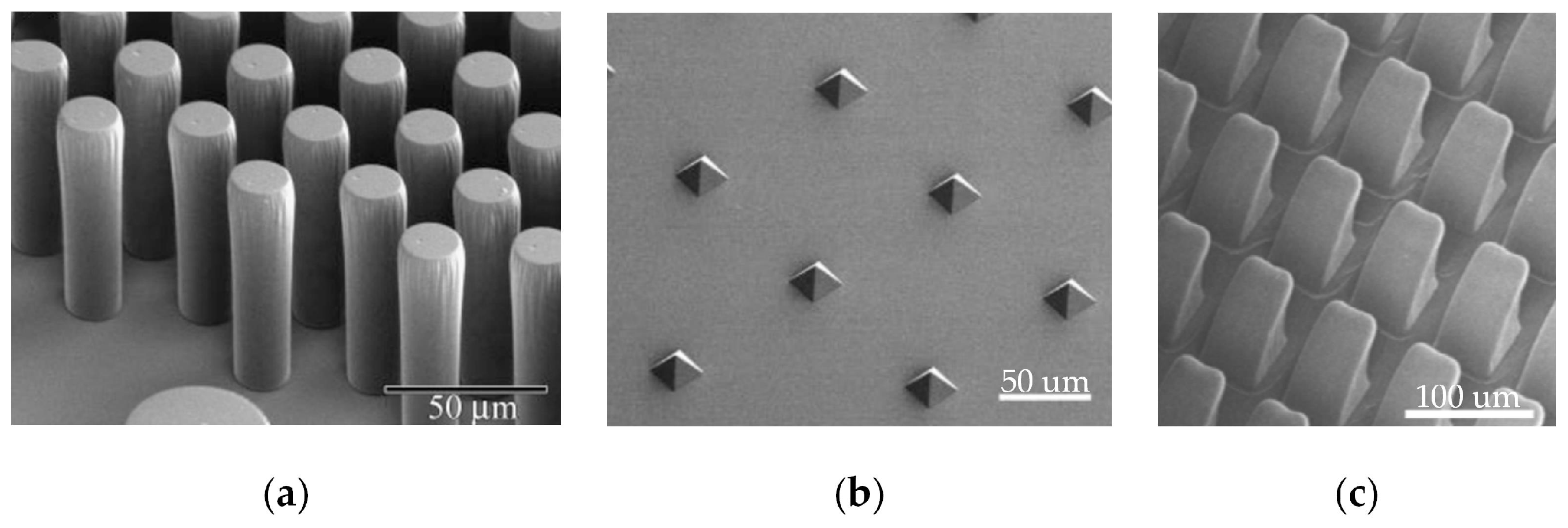 Biomimetics 09 00149 g010 Biomimetics 09 00149 g010
