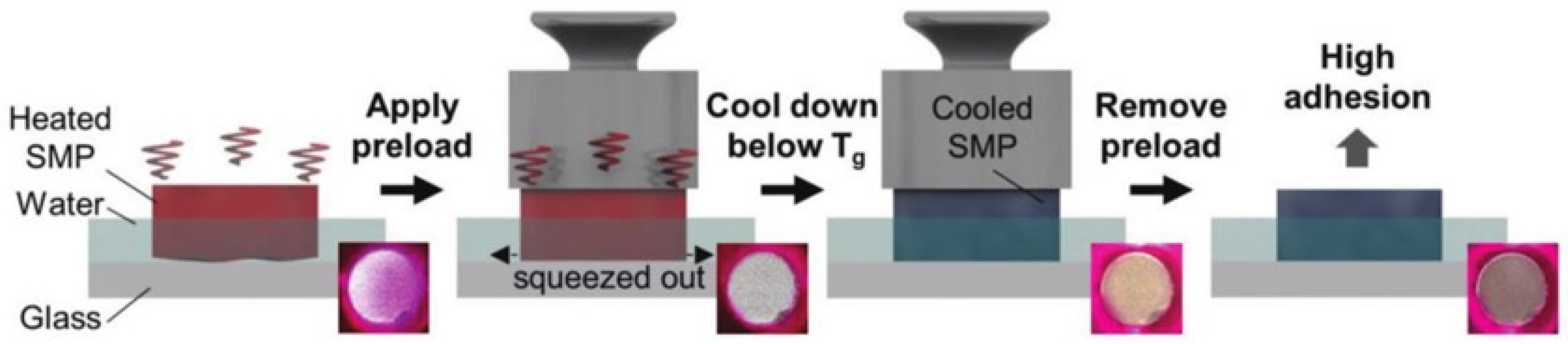 Biomimetics 09 00149 g011 Biomimetics 09 00149 g011