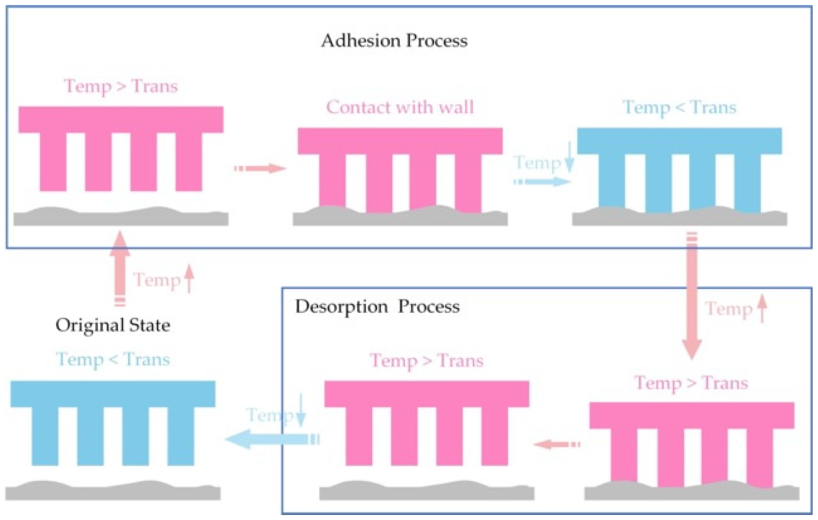 Biomimetics 09 00149 g012 Biomimetics 09 00149 g012
